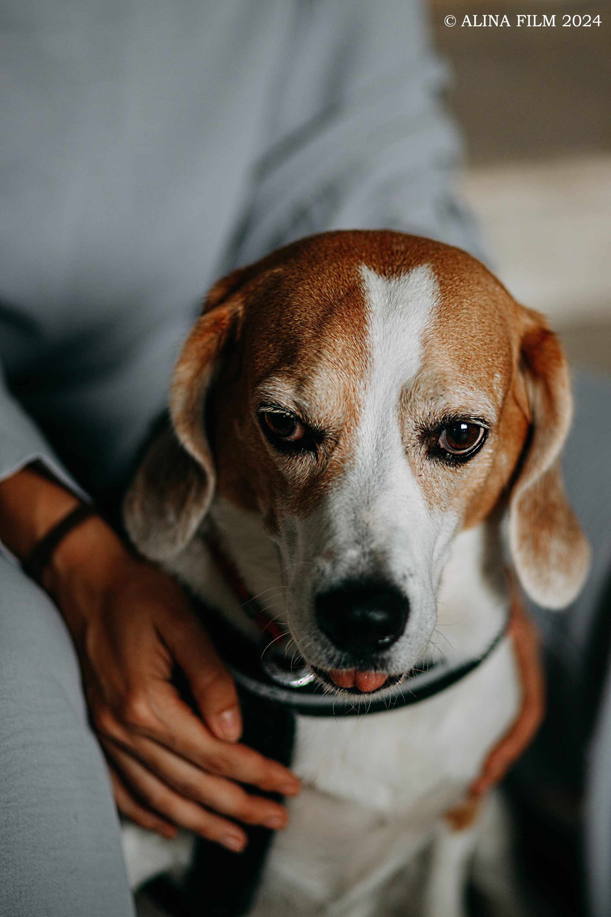 Фотосессия на Витебском вокзале. Фотограф в Санкт-Петербурге Alina Film
