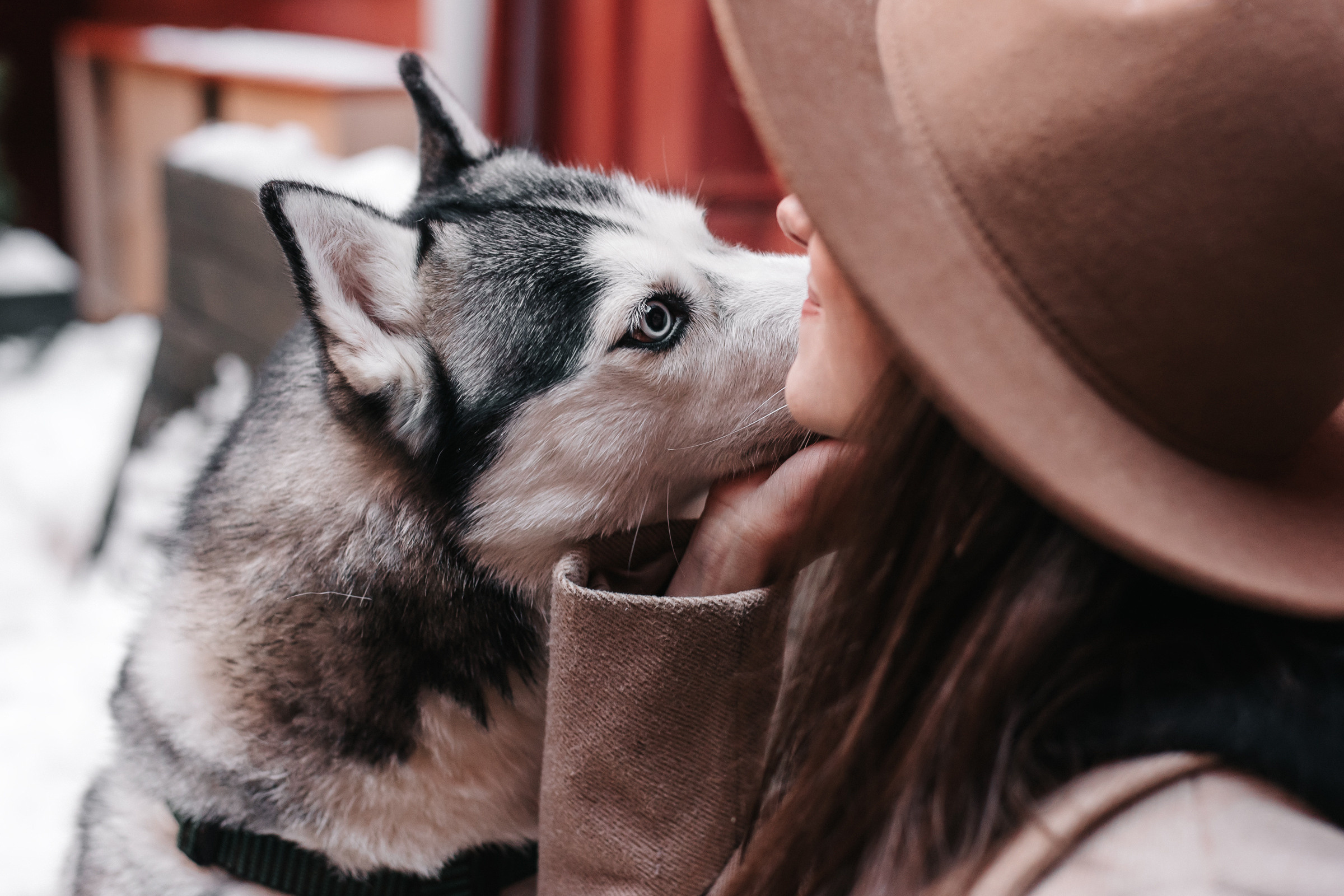 Екатерина и Тесса. Портретный и семейный фотограф в Минске Галина Цареня