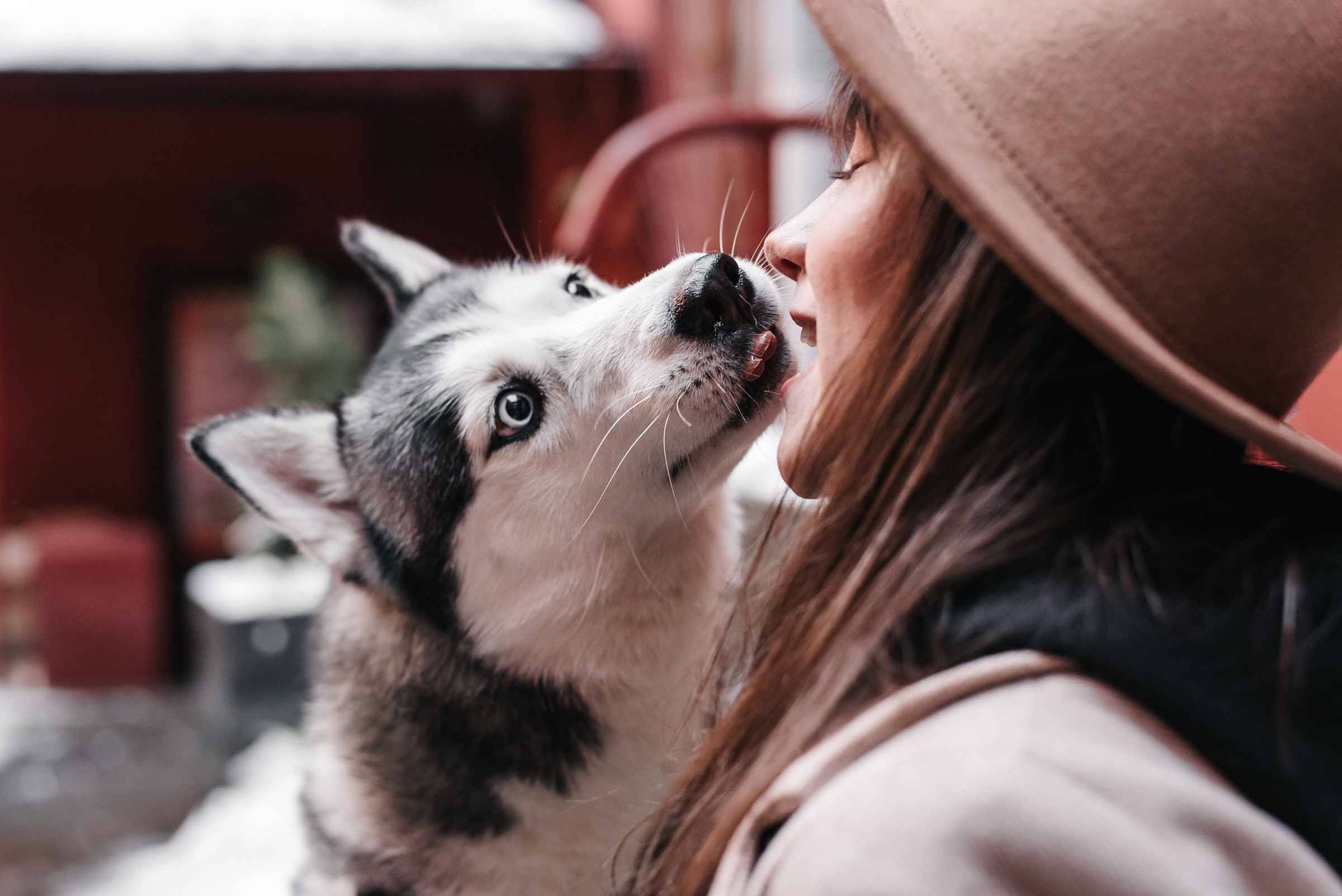 Екатерина и Тесса. Портретный и семейный фотограф в Минске Галина Цареня