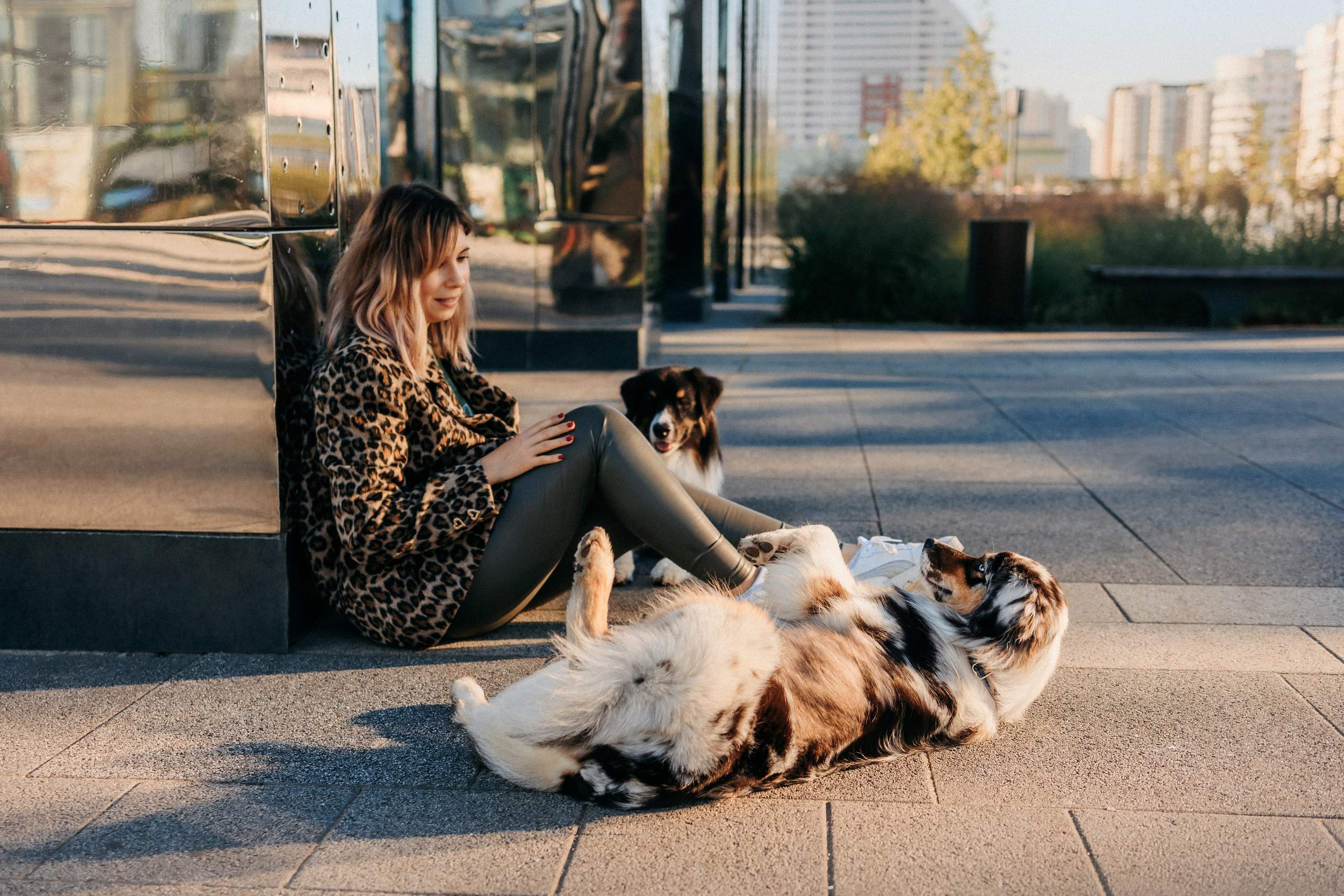 Аня, Чарли и Ева. Фотограф-анималист Елена Радченко, Москва