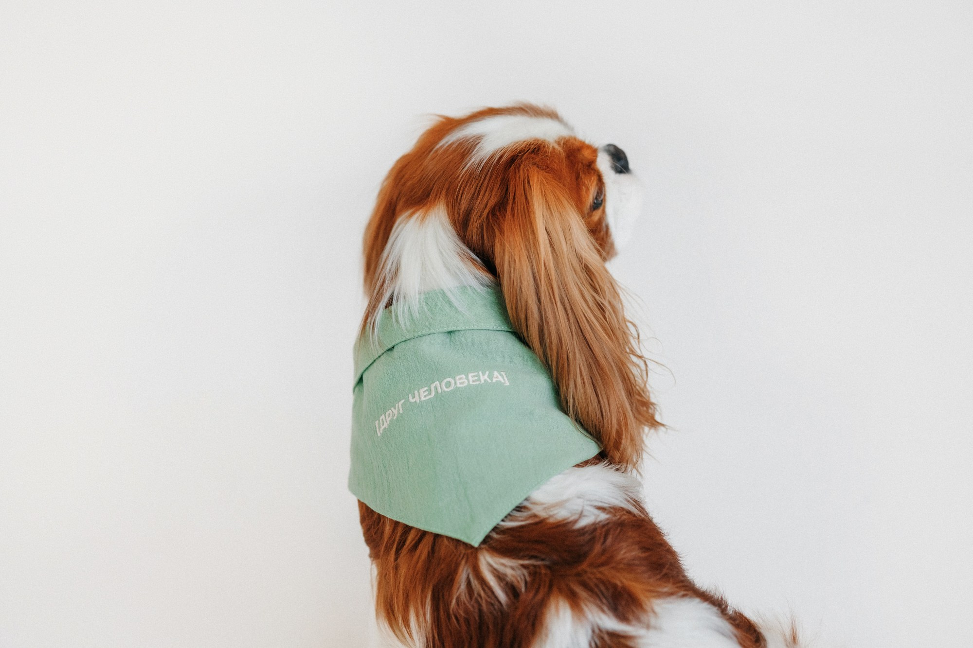 Одежда Lapa`s brand. Фотограф-анималист Елена Радченко, Москва