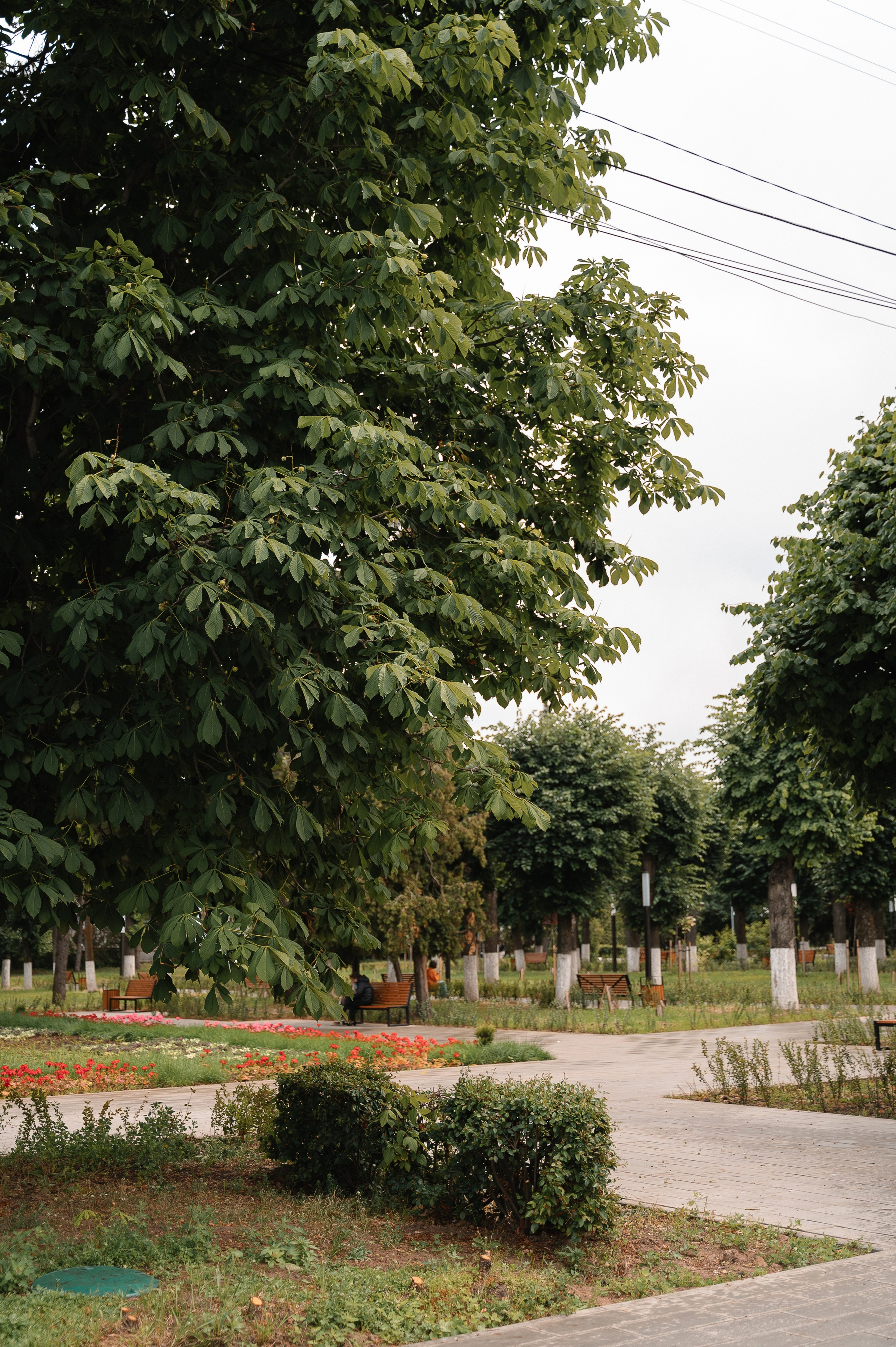 Алексей и Анна. Свадебный и семейный фотограф в Чебоксарах Ирина Левнер