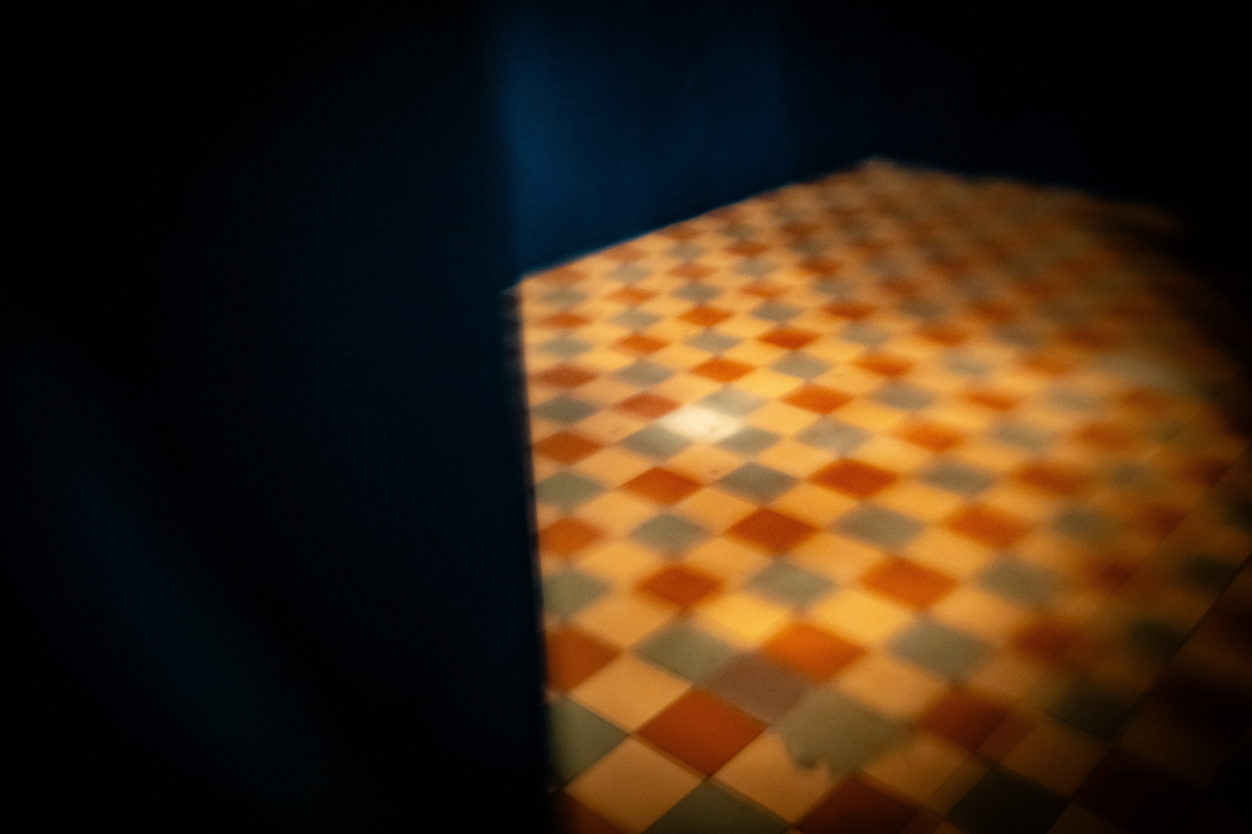 ВОЛЬНОСТЬ. Фотограф Елена Богачева (lenalena_na_na_na)