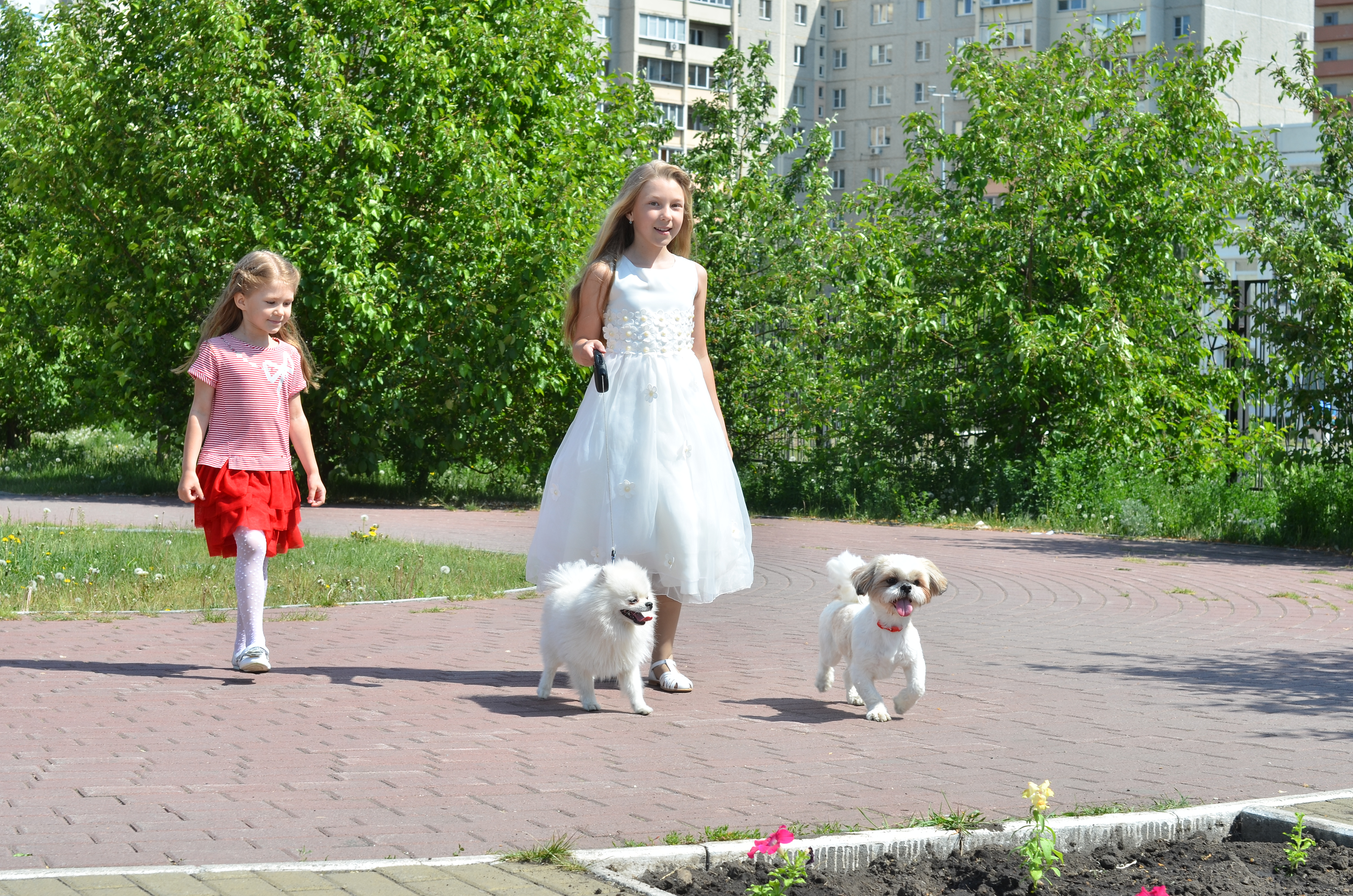 Семейная фотосессия. Выпускные фотокниги, фотосъемка, видеосъемка в Челябинске и области