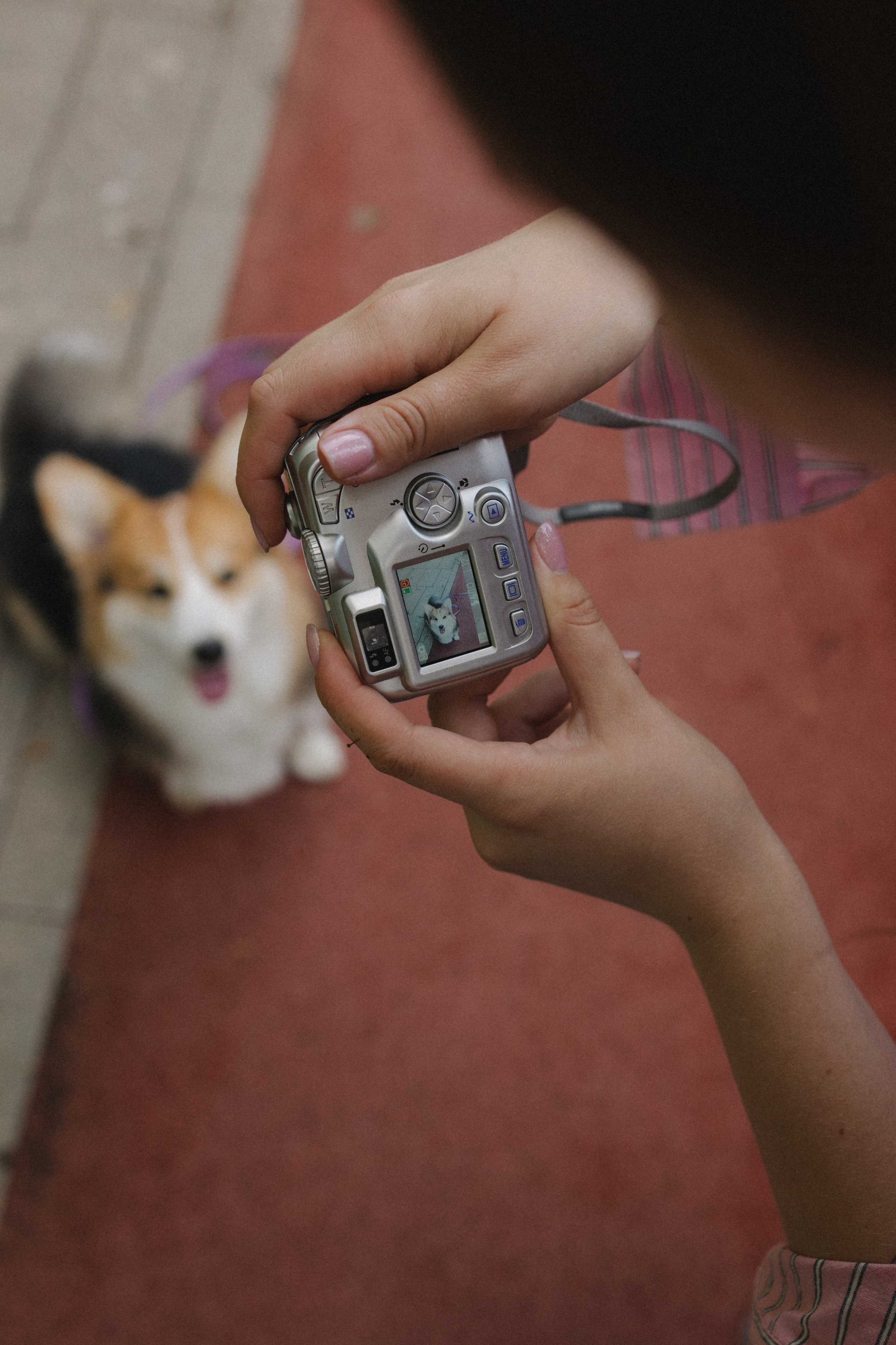 Мишель и Влада. Фотораф — анималист Мария Шистка
