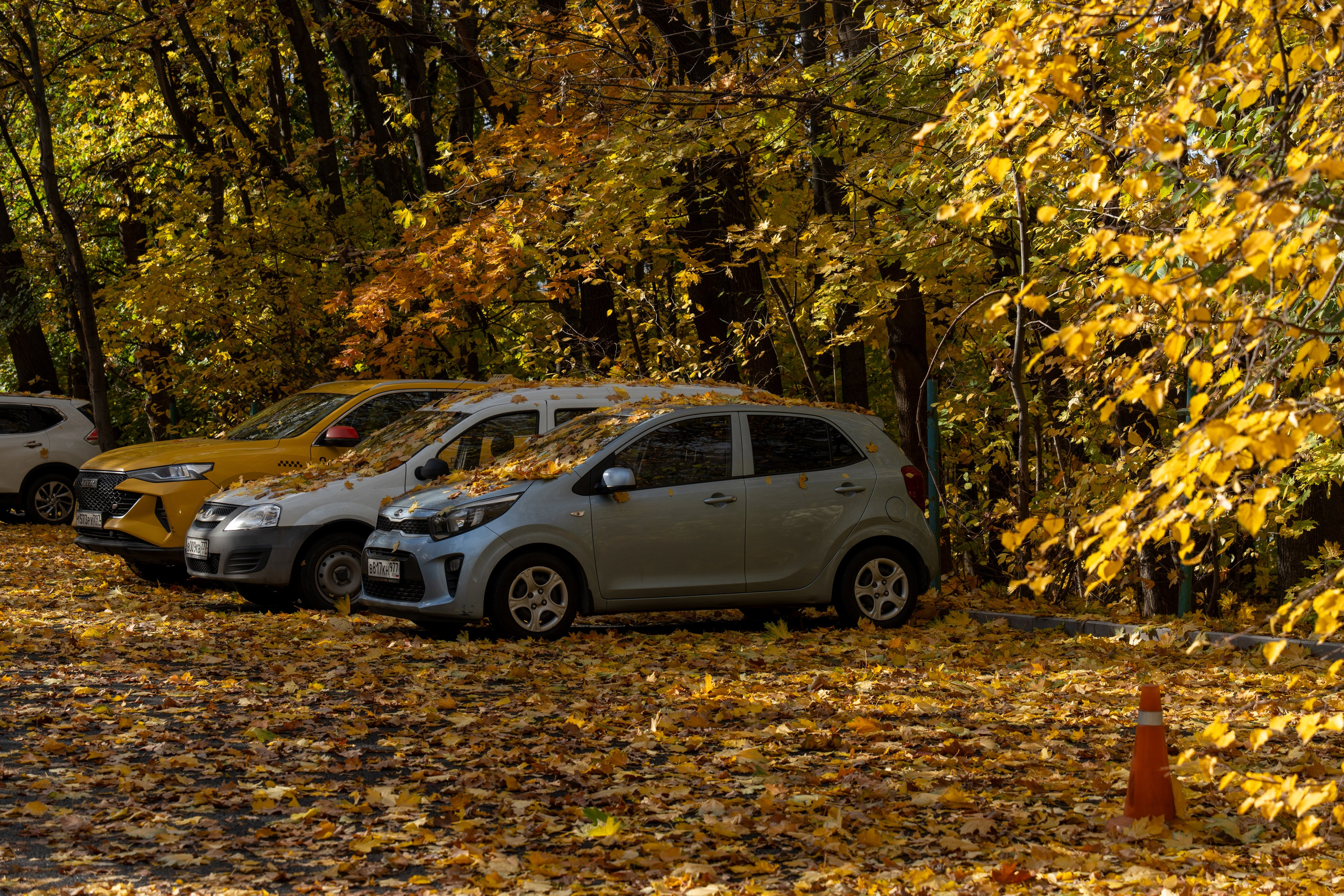 20251012 МГУ. Дмитрий Ремизов. Фотография, как хобби