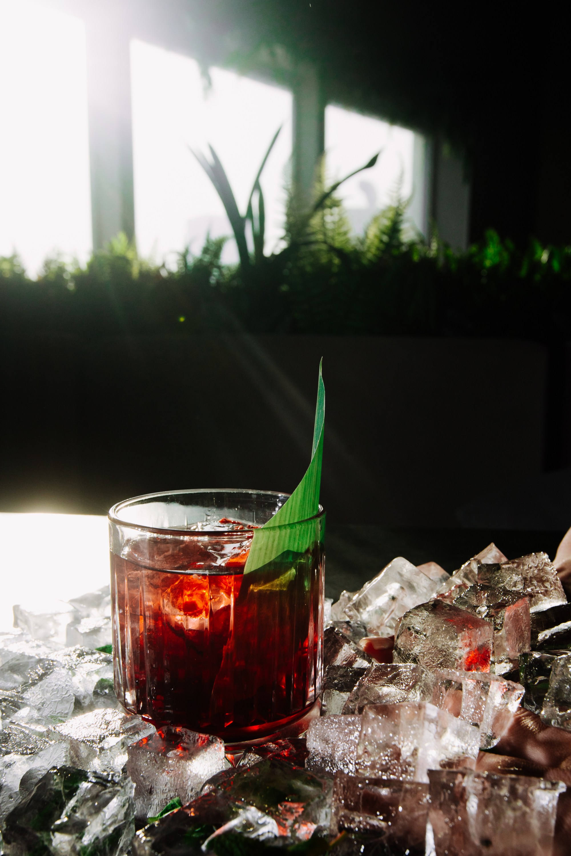 Garden Lounge / Cocktail. Home