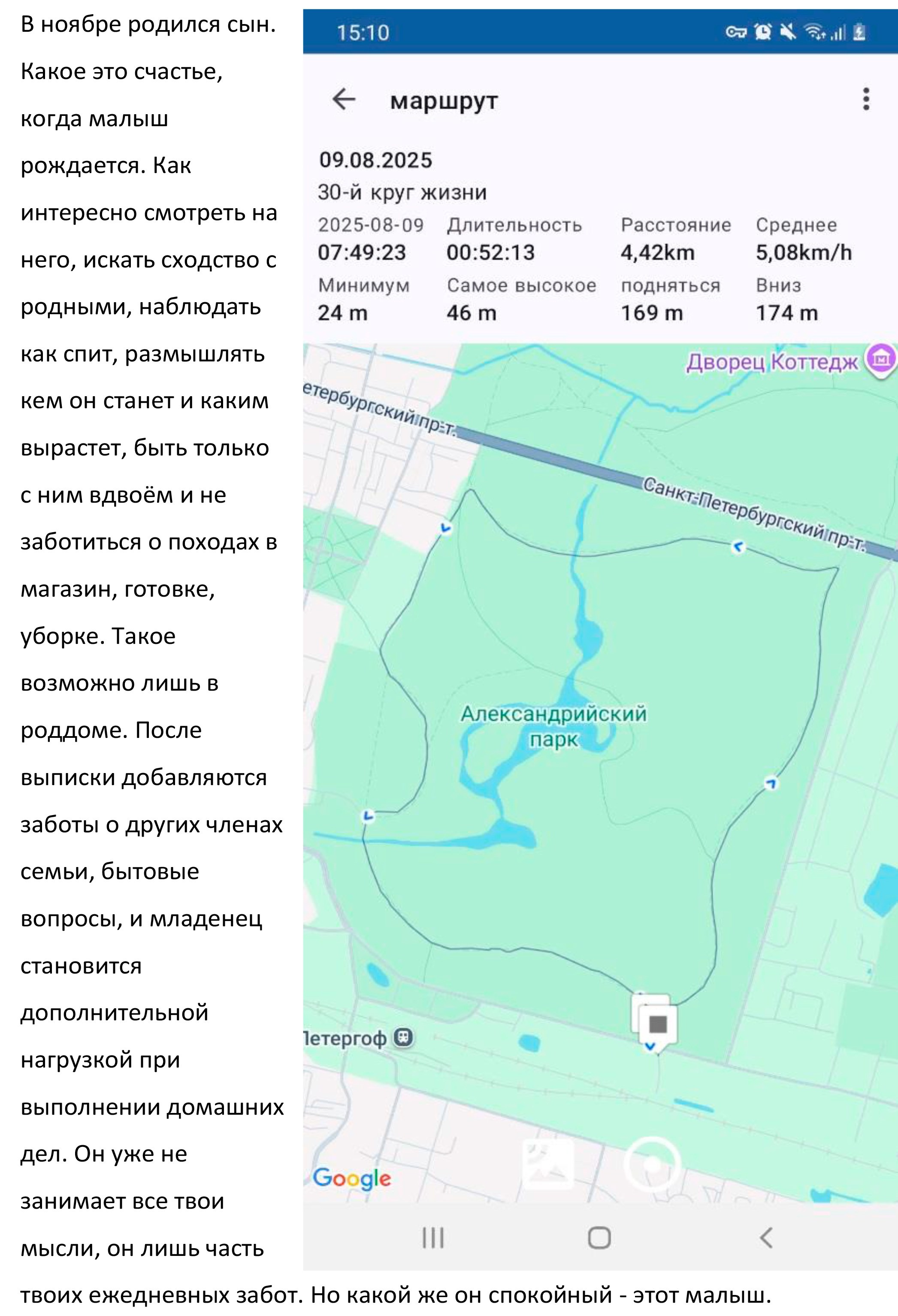 Мария Пичугина — Круги жизни