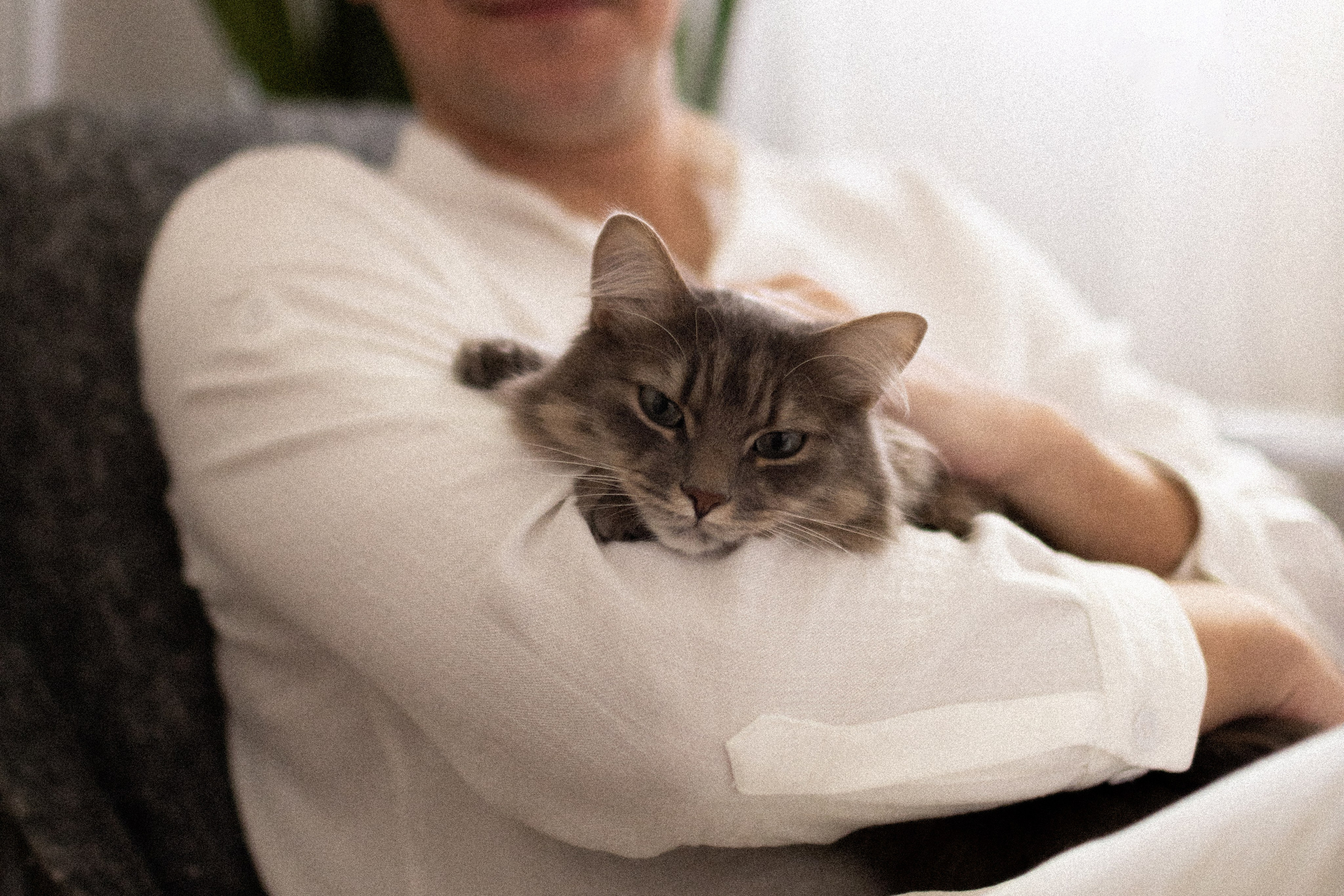 Саша, Рома и Костя. Свадебный фотограф | Москва