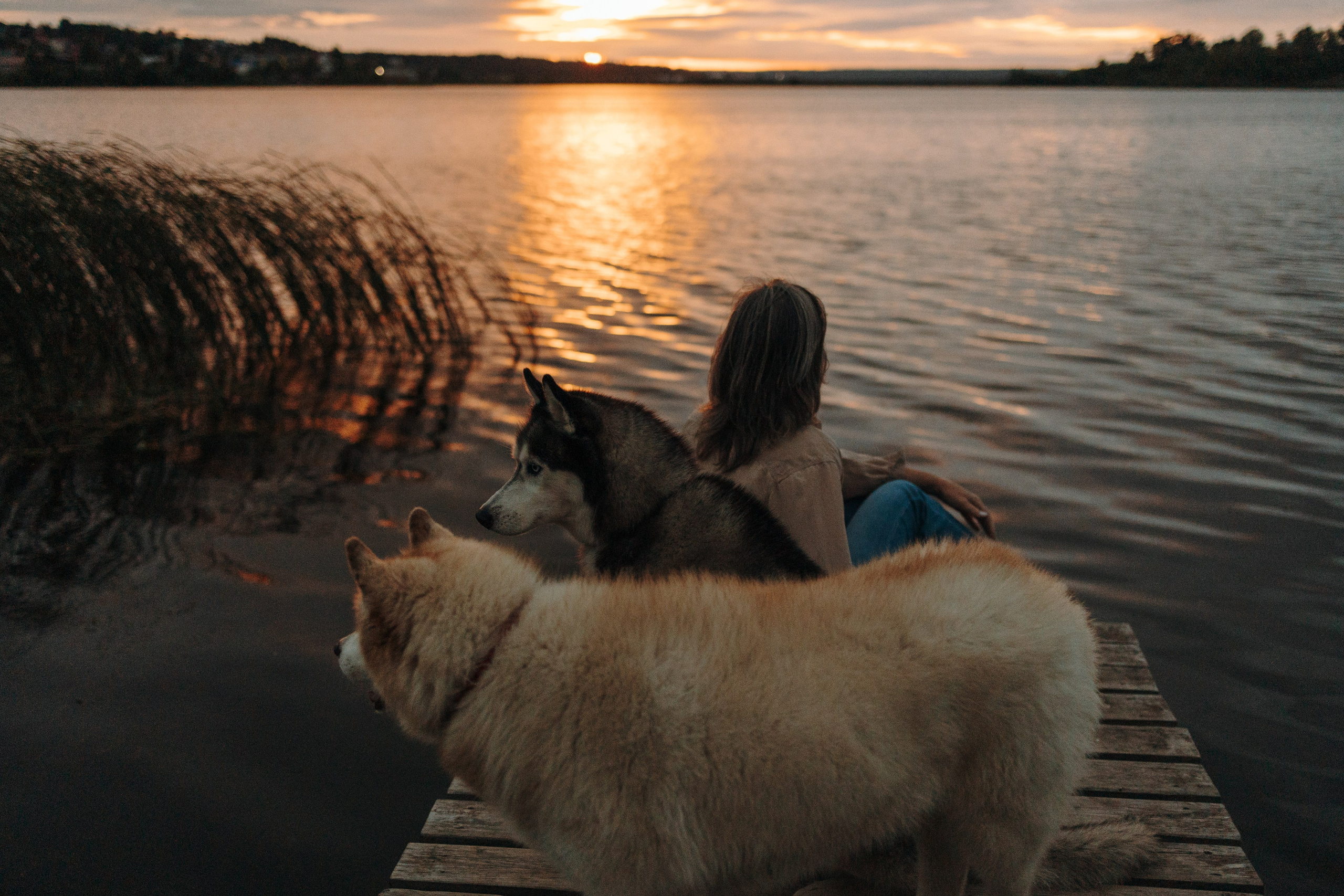 Дом у реки. Фотограф — Анималист | Санкт-Петербург