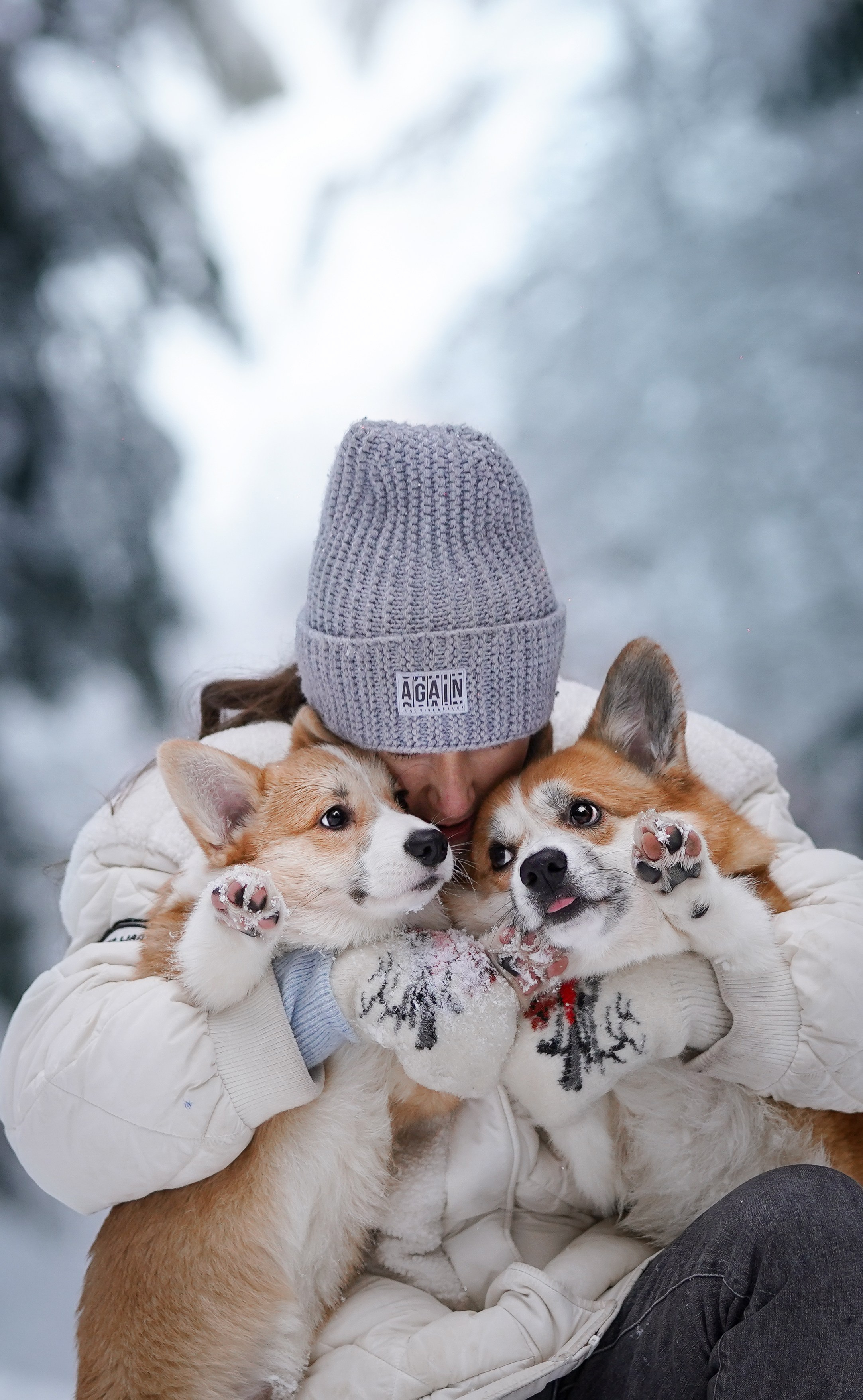 Катя Рокки и Честер. Фотограф-анималист в Санкт-Петербурге Яна Мартынова