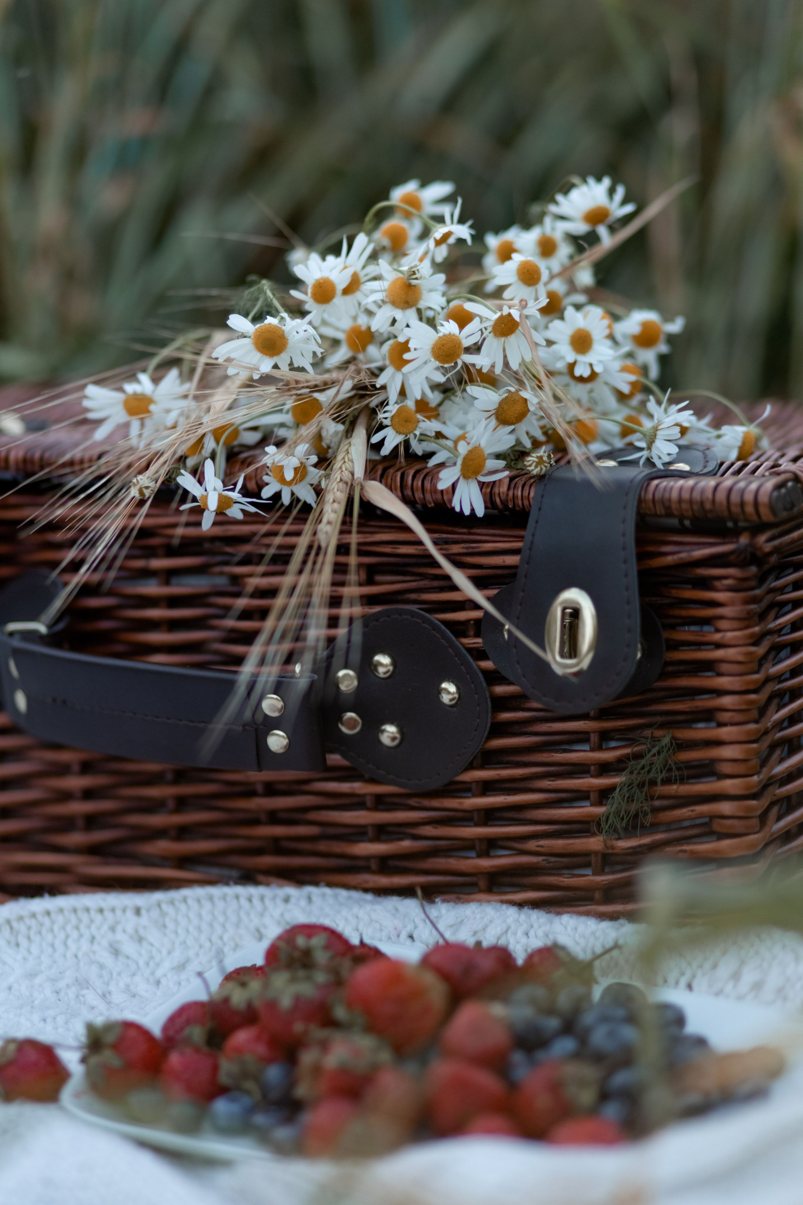 Екатерина. Семейный и детский фотограф в Москве, Тамбовская Ольга