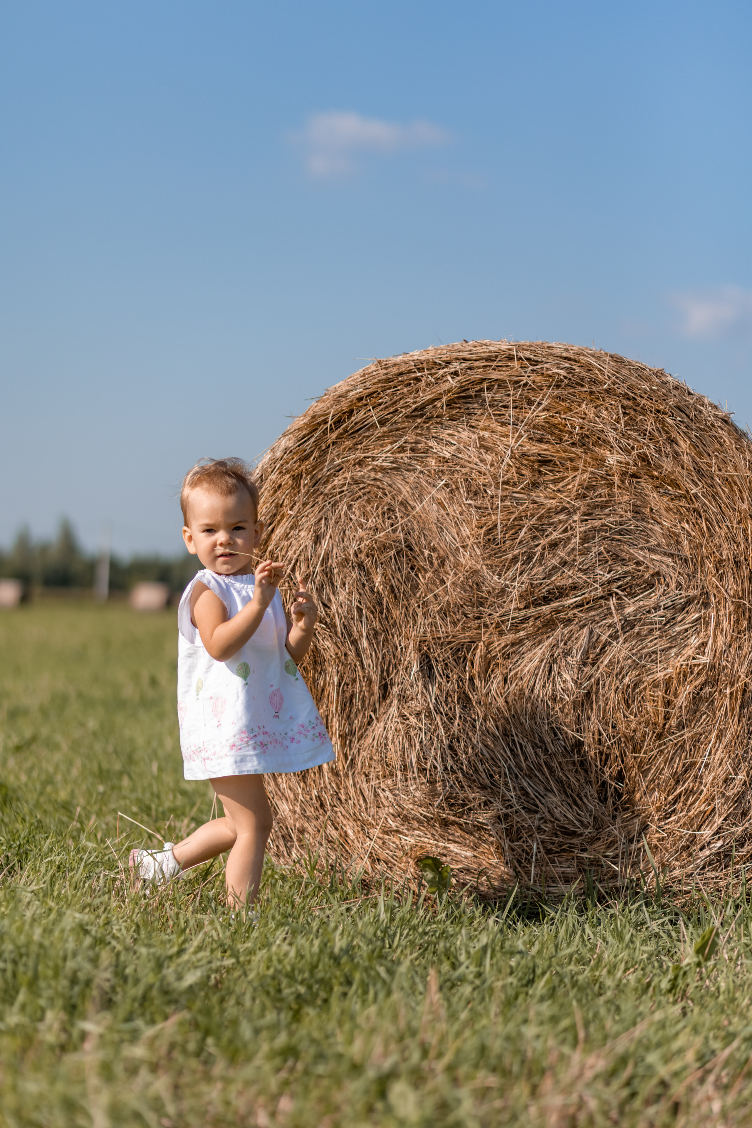 Семейная в поле. Семейный и детский фотограф в Москве, Тамбовская Ольга