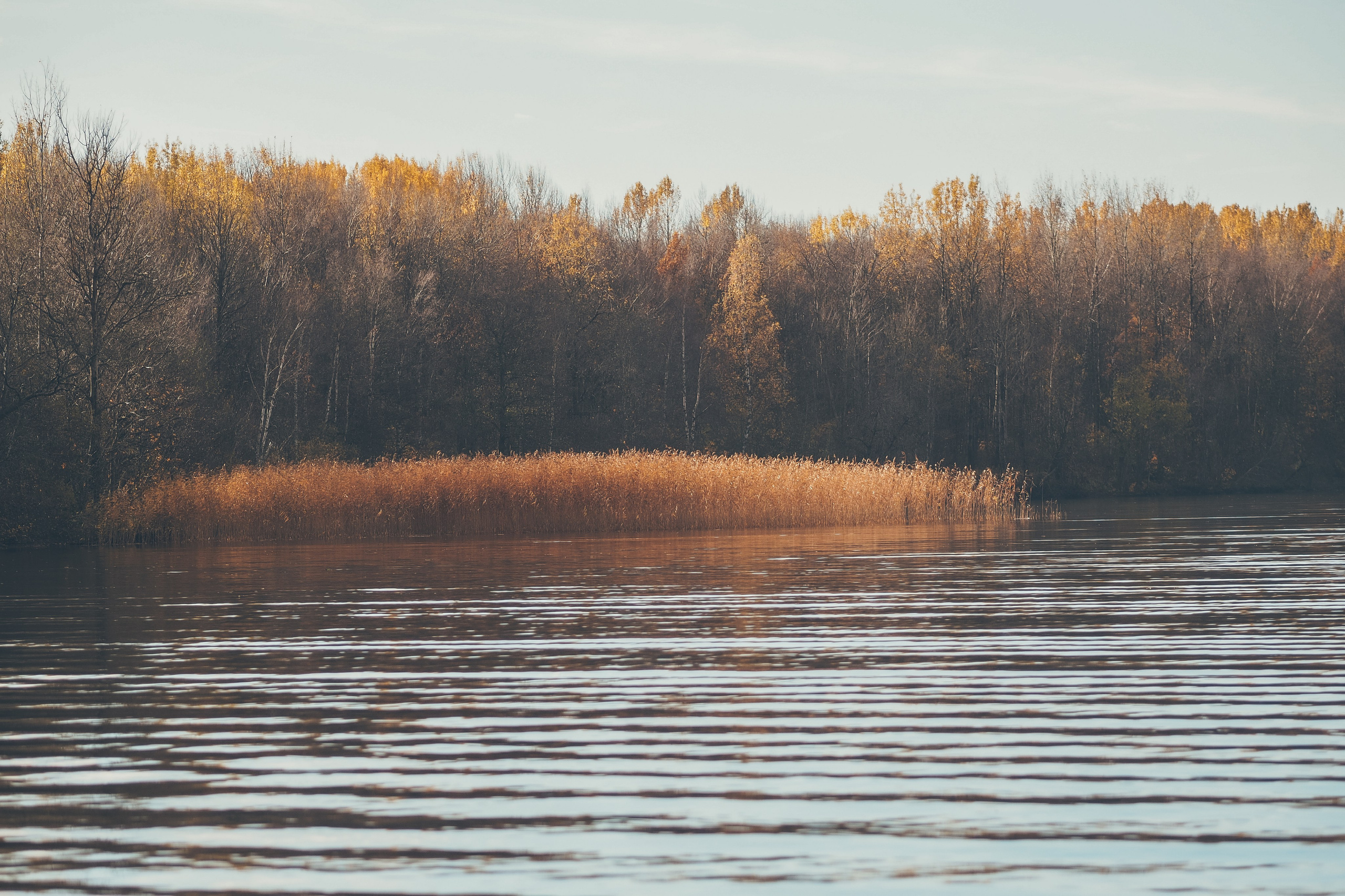 Сестрорецк. Свадебный фотограф Копков Геннадий