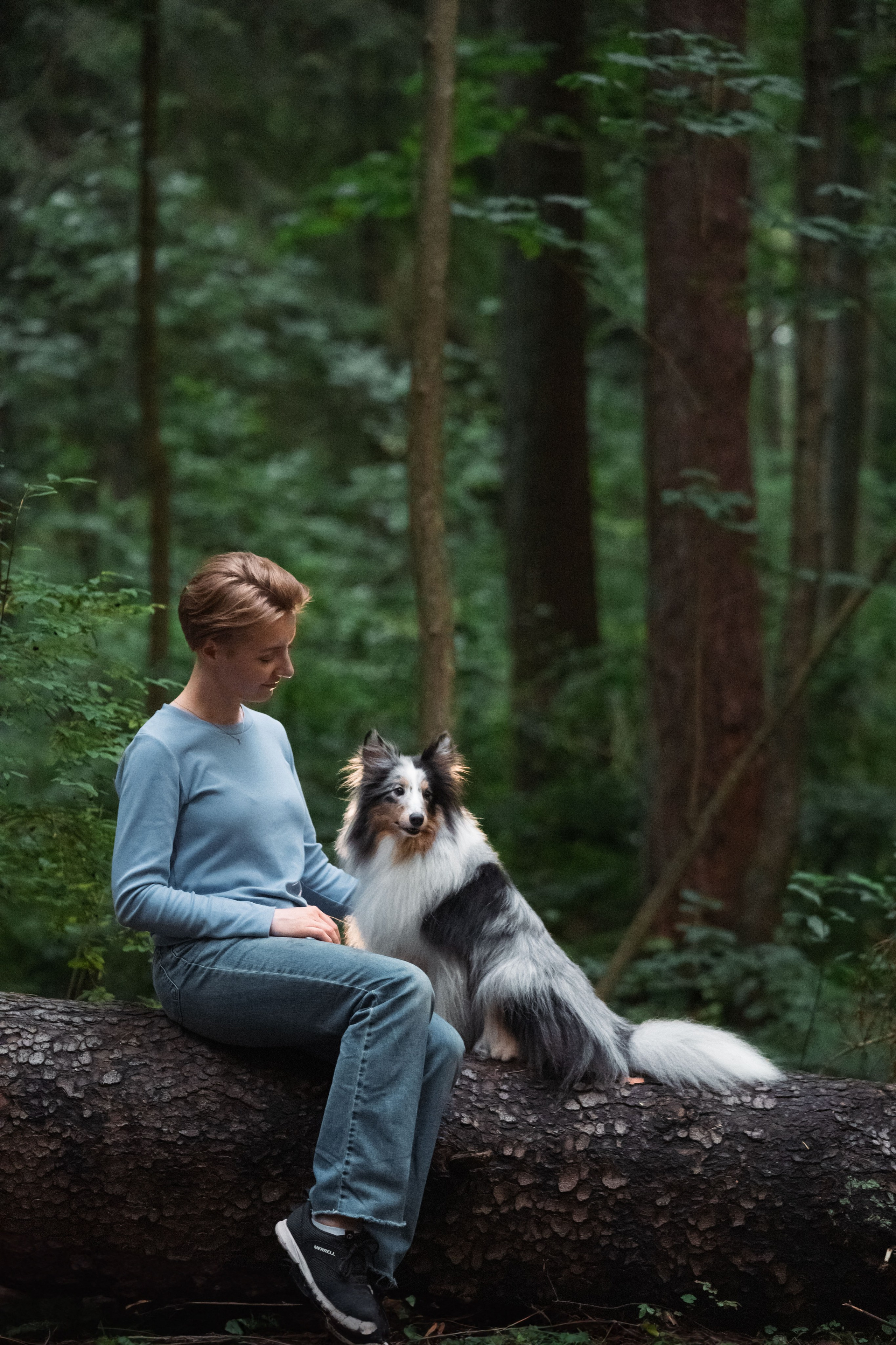 Лесная Элис. Фотограф анималист