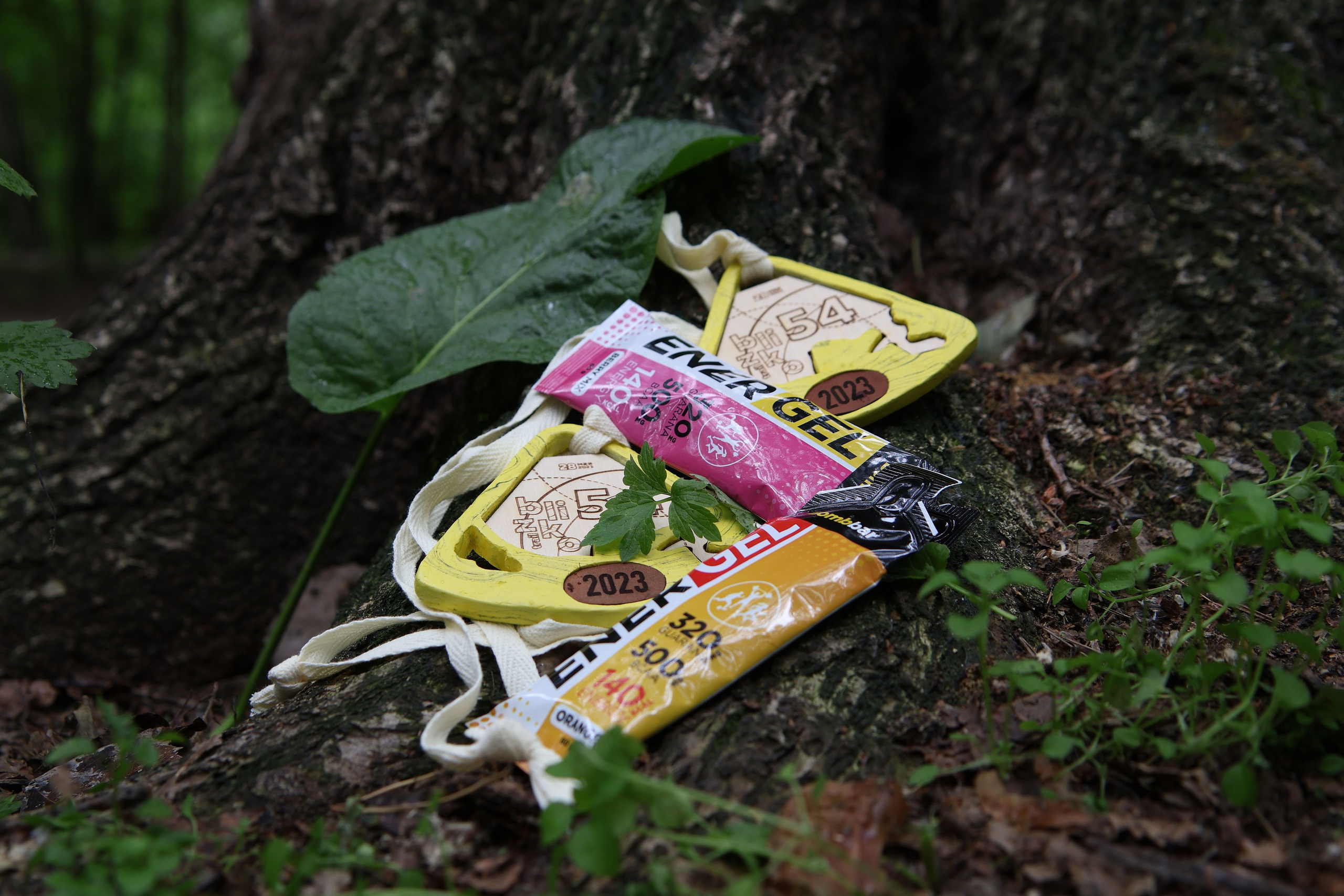 Трейловый забег Blizko trail 2023. Спортивный и репортажный фотограф Ермакова Светлана