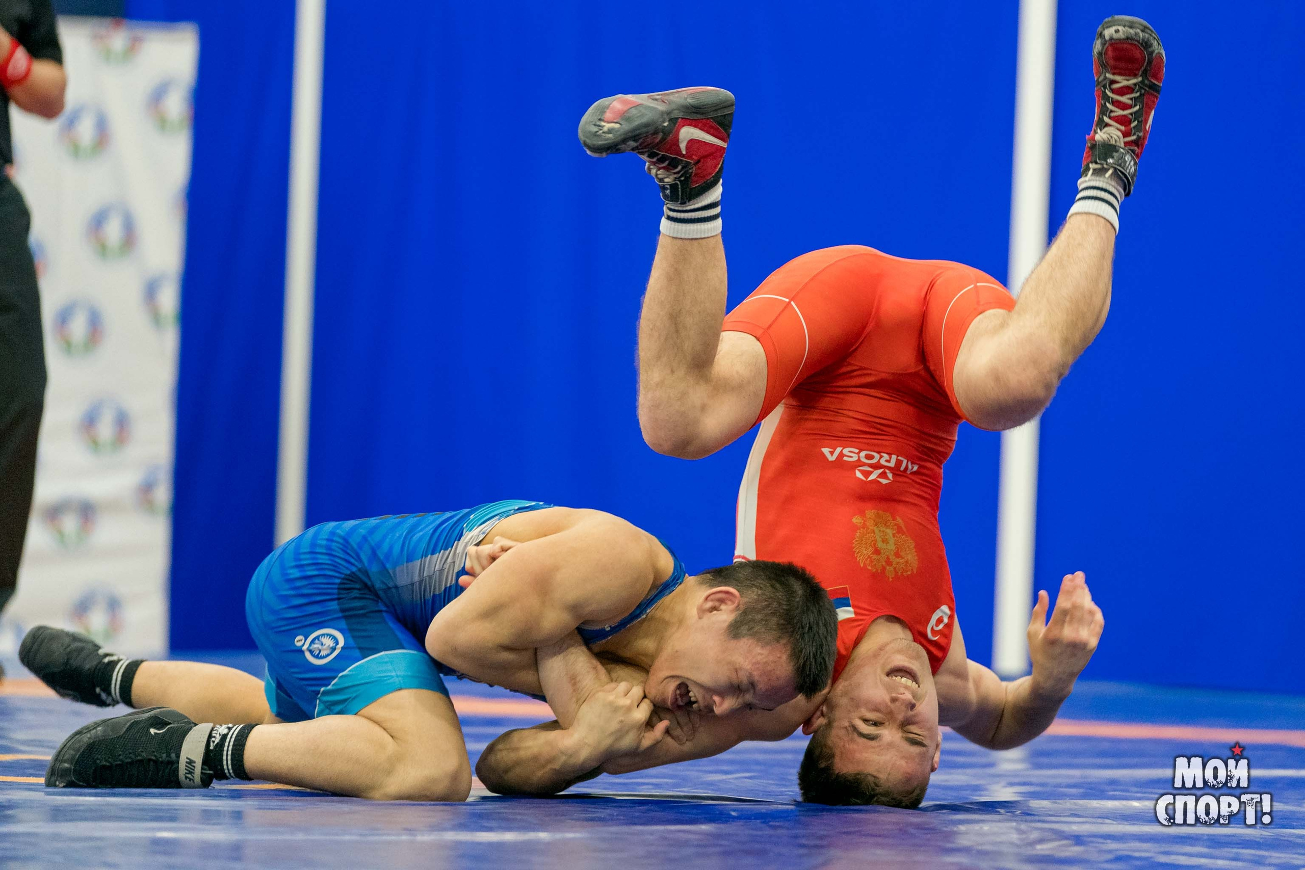 Чемпионат России среди студентов по спортивной борьбе 2024. ГРБ. Студия «Мой Спорт!» — все о спорте в Якутии