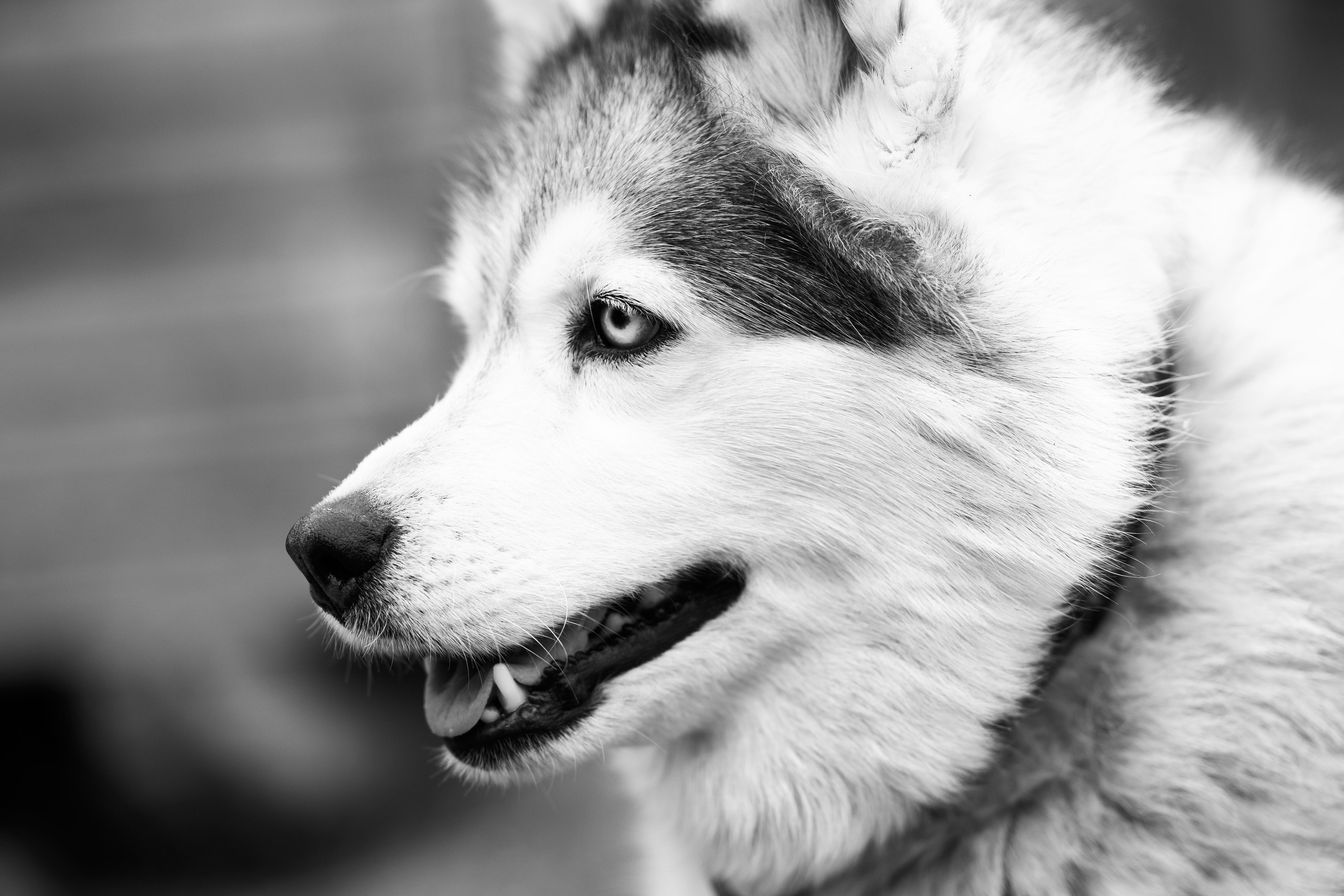 Другое. KRUTOVA_фотографирую жизнь