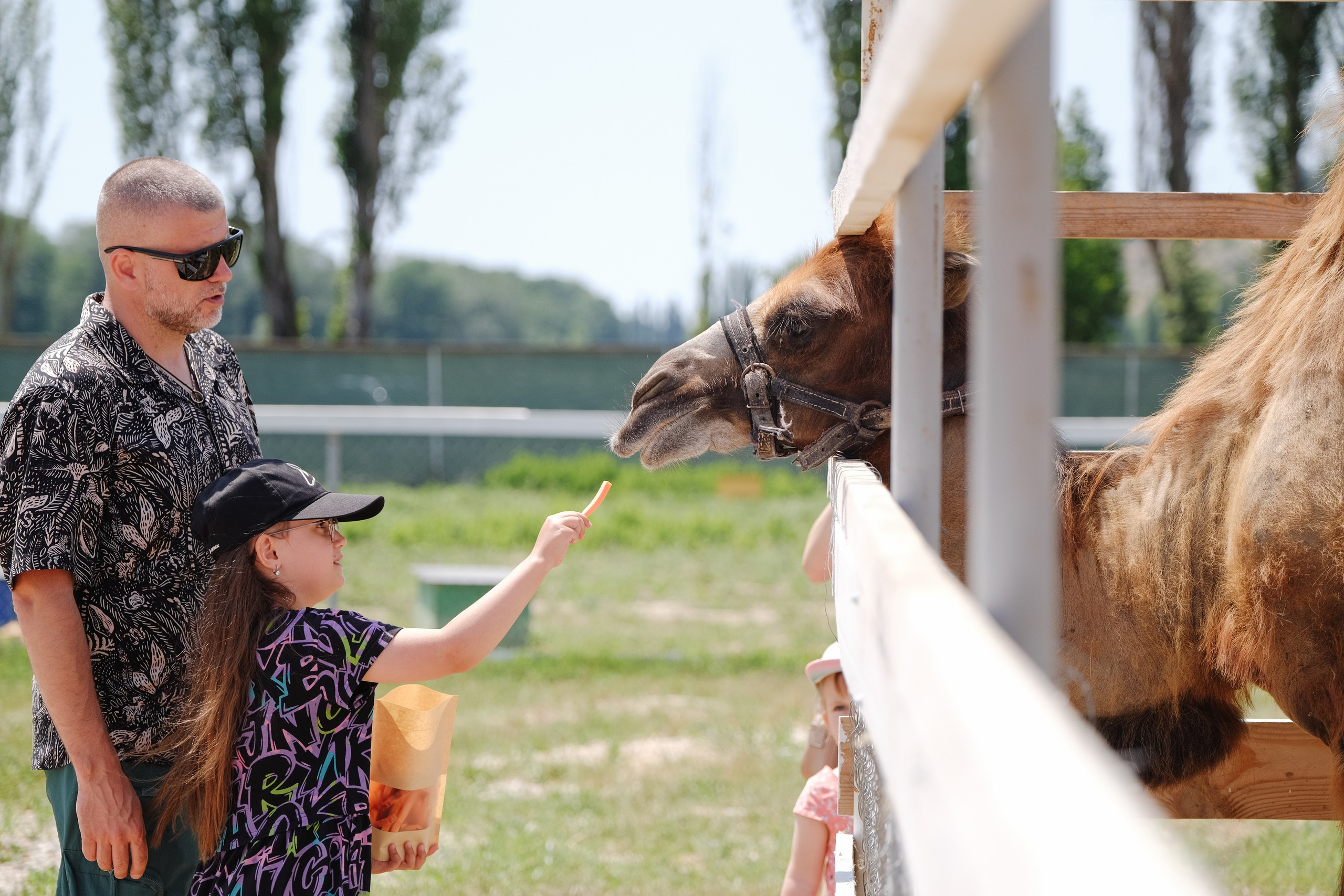 Репортаж на ферме. Профессиональная фотосъемка в Крыму. Натуральные эмоции и живые кадры. Забронируйте дату прямо сейчас!