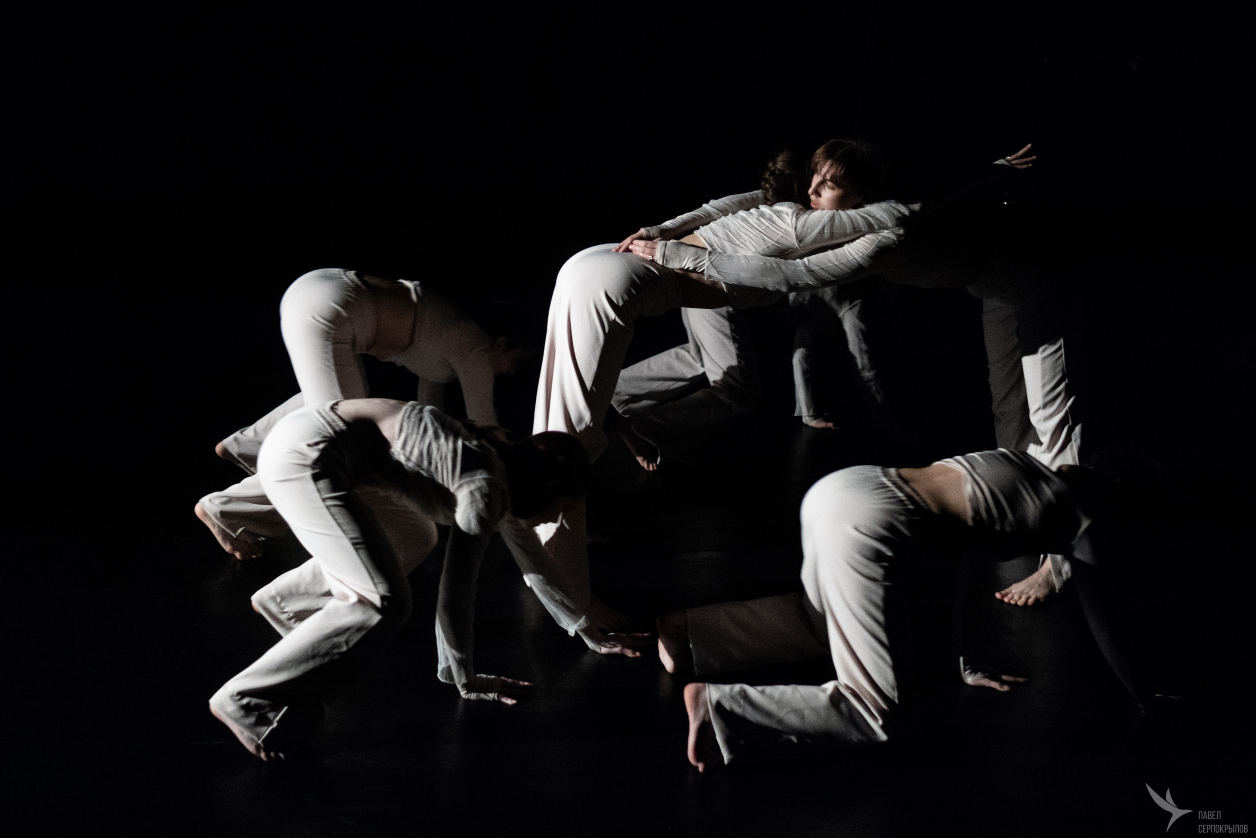 Пластический спектакль | Знакомство |. Репортажный фотограф в Казани Павел Серпокрылов