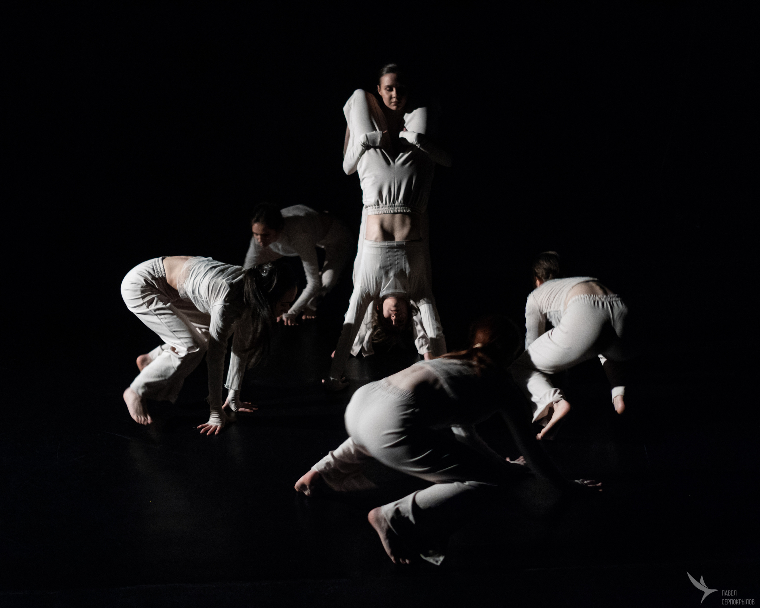 Пластический спектакль | Знакомство |. Репортажный фотограф в Казани Павел Серпокрылов