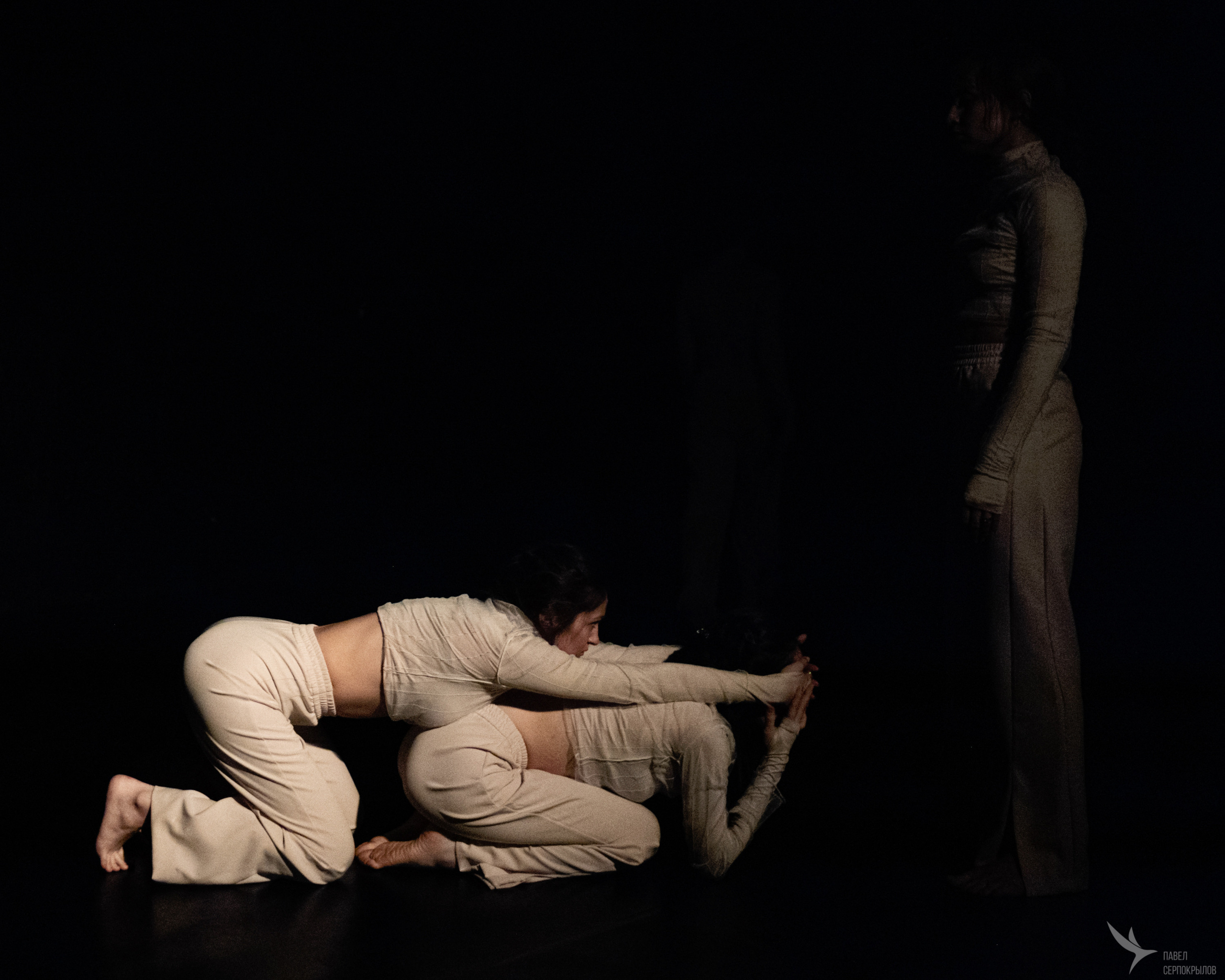 Пластический спектакль | Знакомство |. Репортажный фотограф в Казани Павел Серпокрылов