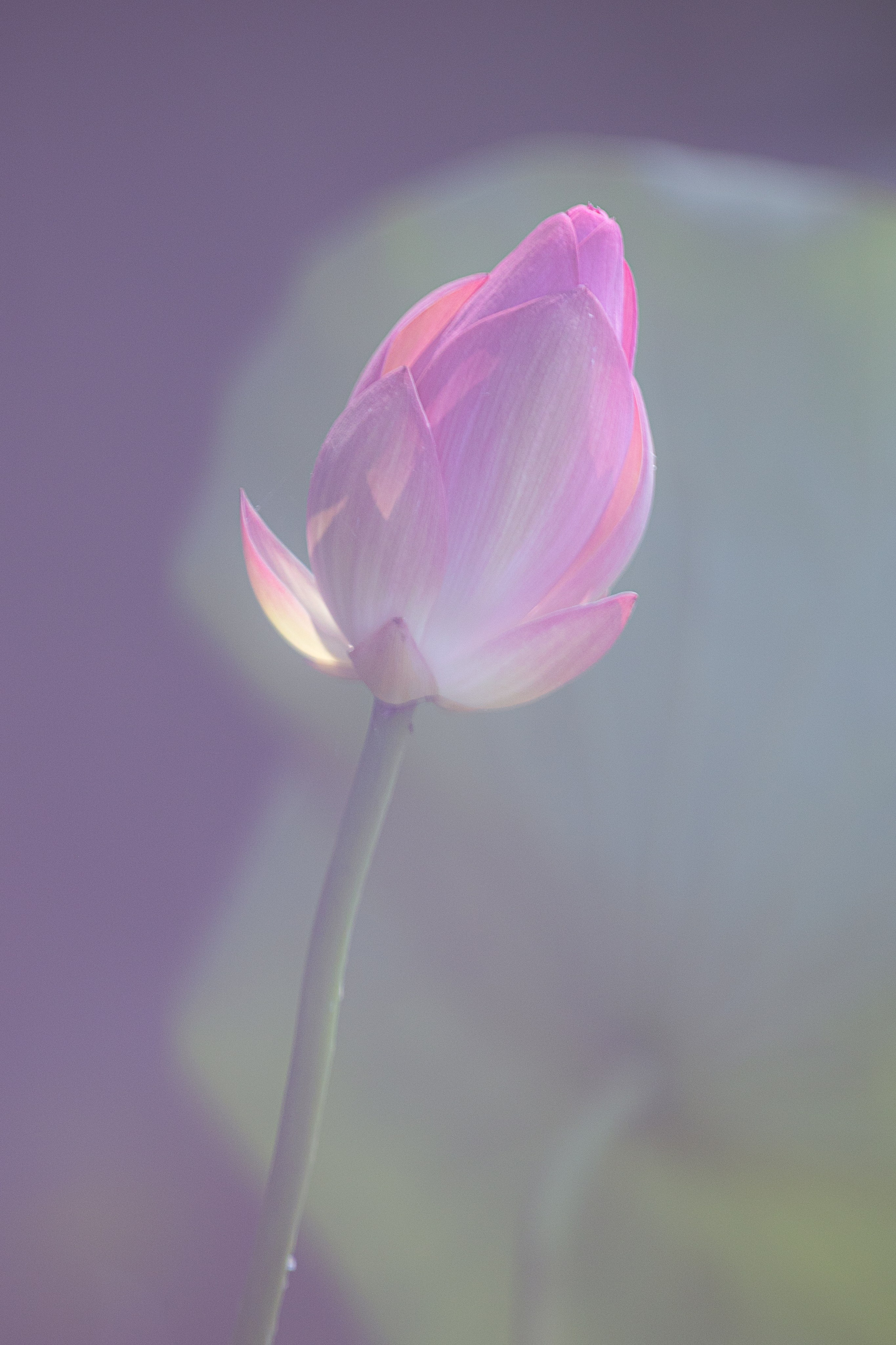 Астраханская область 2025 | Фотограф Дмитрий Купрацевич. Дмитрий Купрацевич профессиональный пейзажный и travel-фотограф