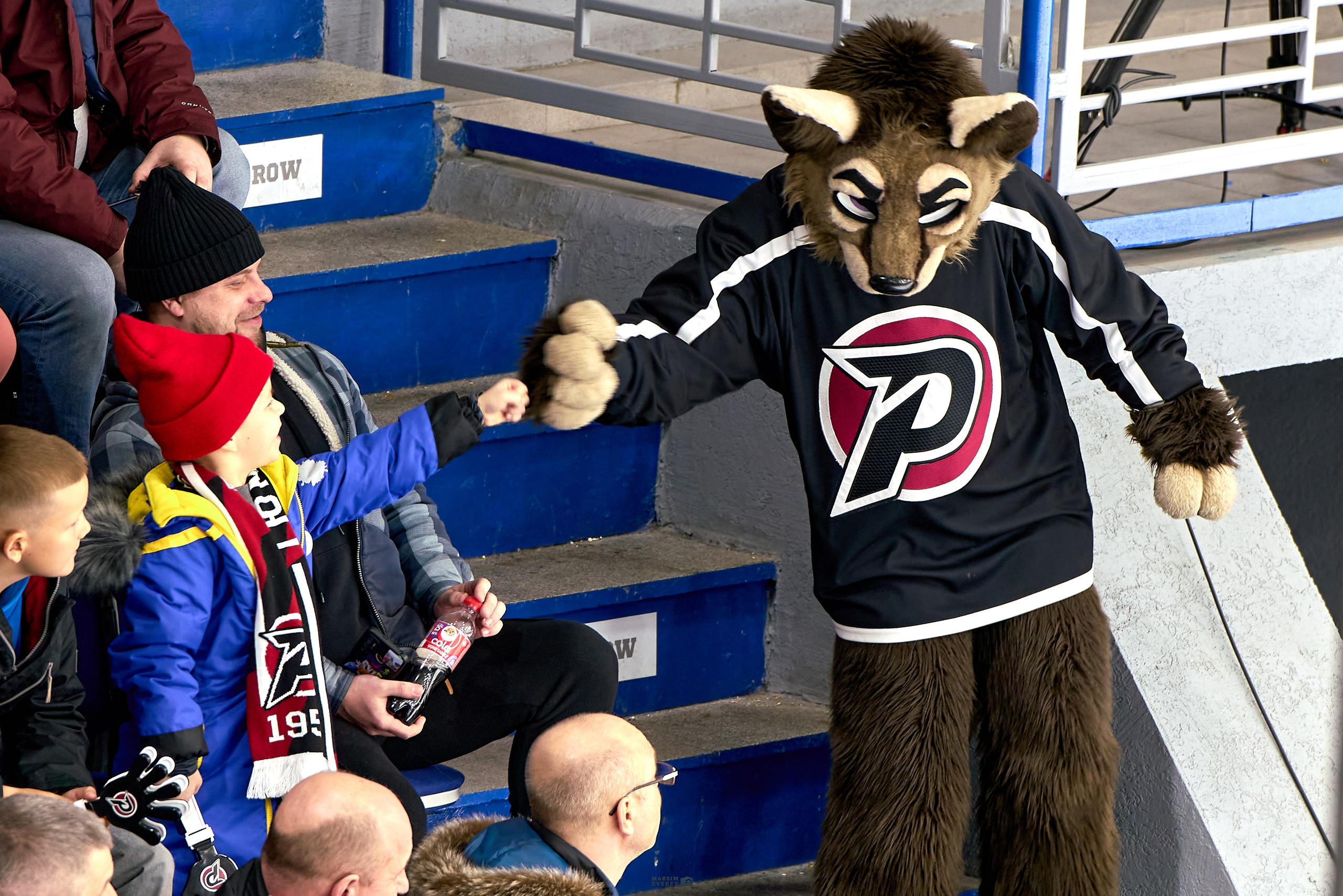 СПОРТ. MAKSIM ZVEREV