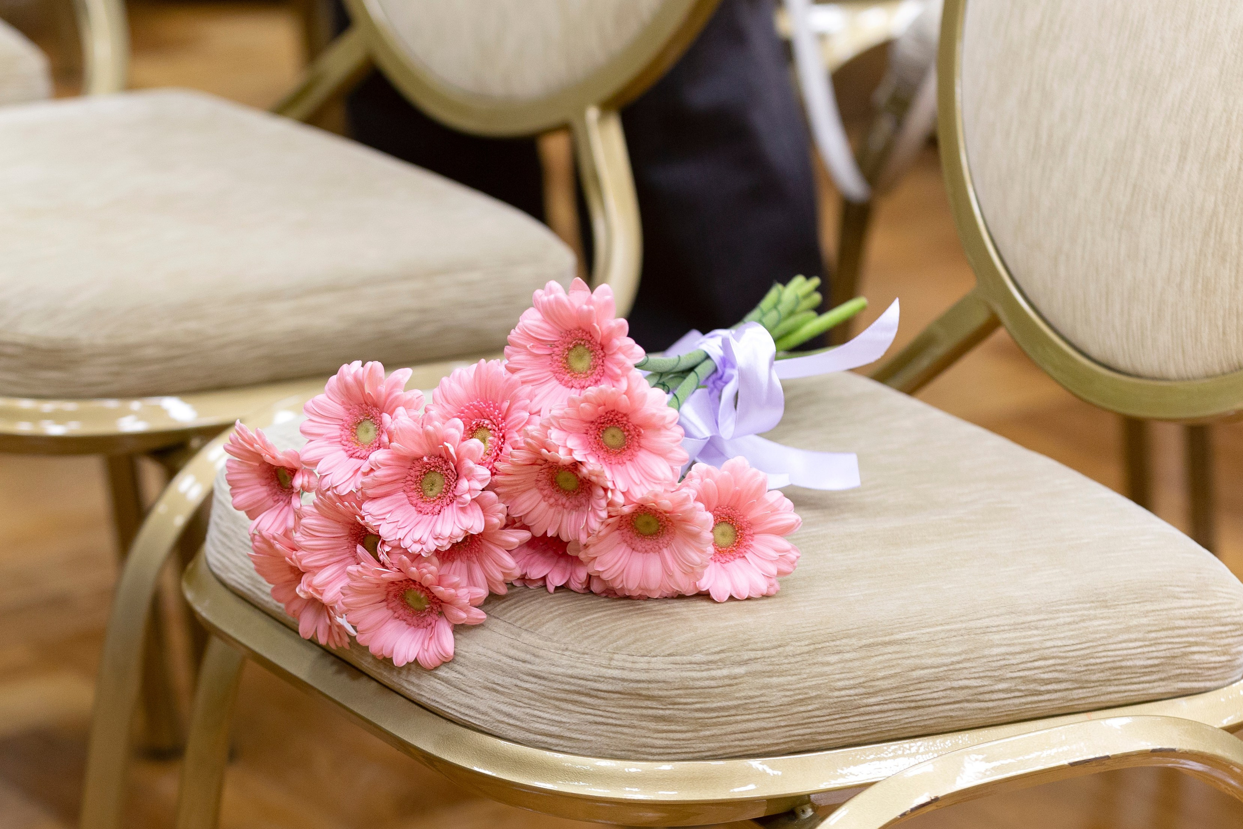 Музыкальный концерт струнных инструментов. Репортажный фотограф в Москве