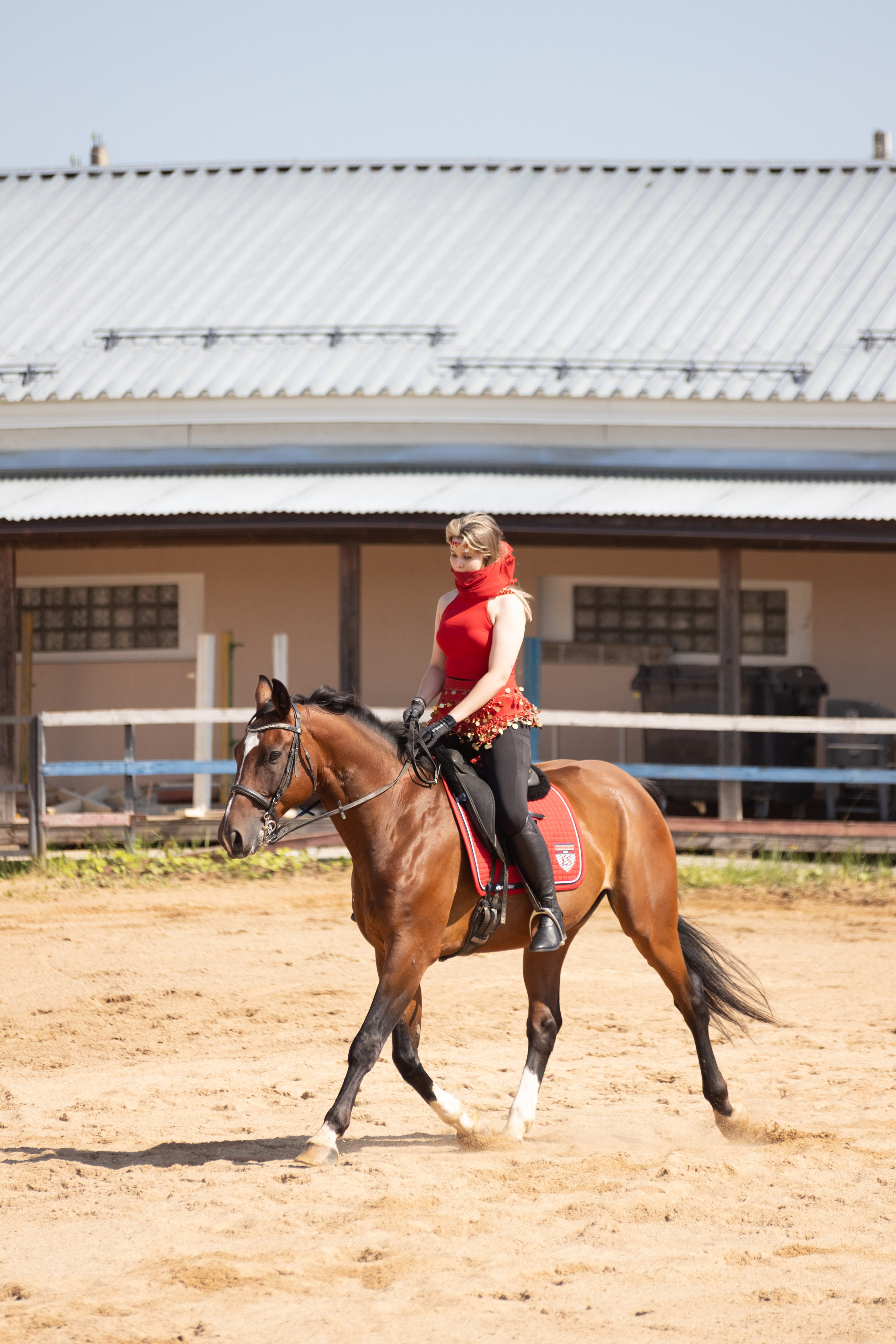 Конюшня. Фотограф в Москве и Истре