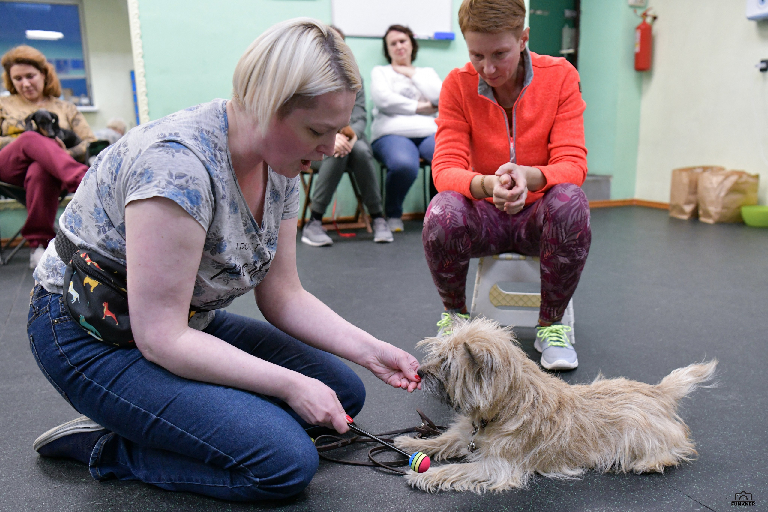 Кинологический клуб «Бодрый хвост». Свой взгляд через объектив