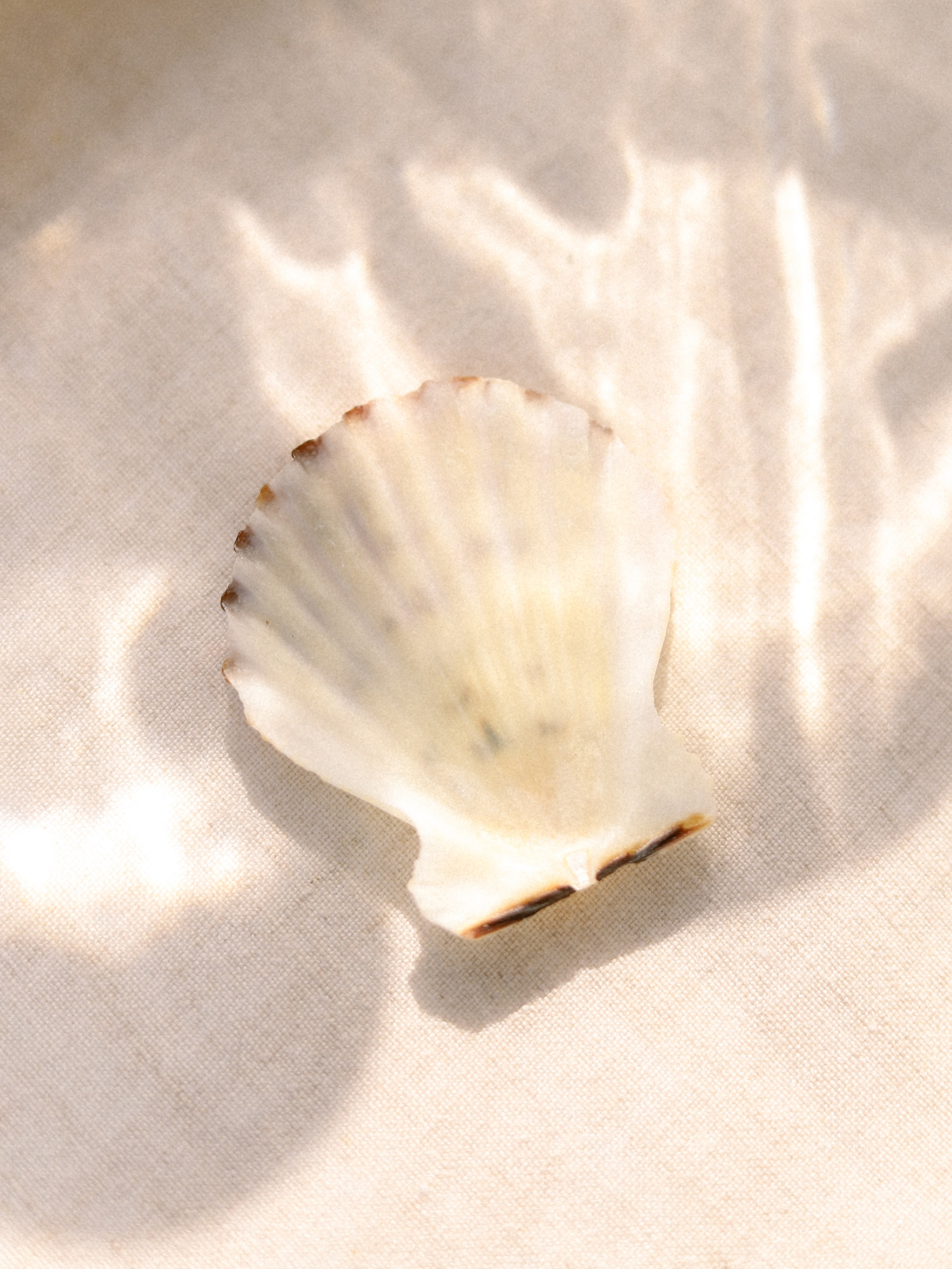 Под солнцем Мацесты. Свадебный фотограф Москва Элиза Нестерович