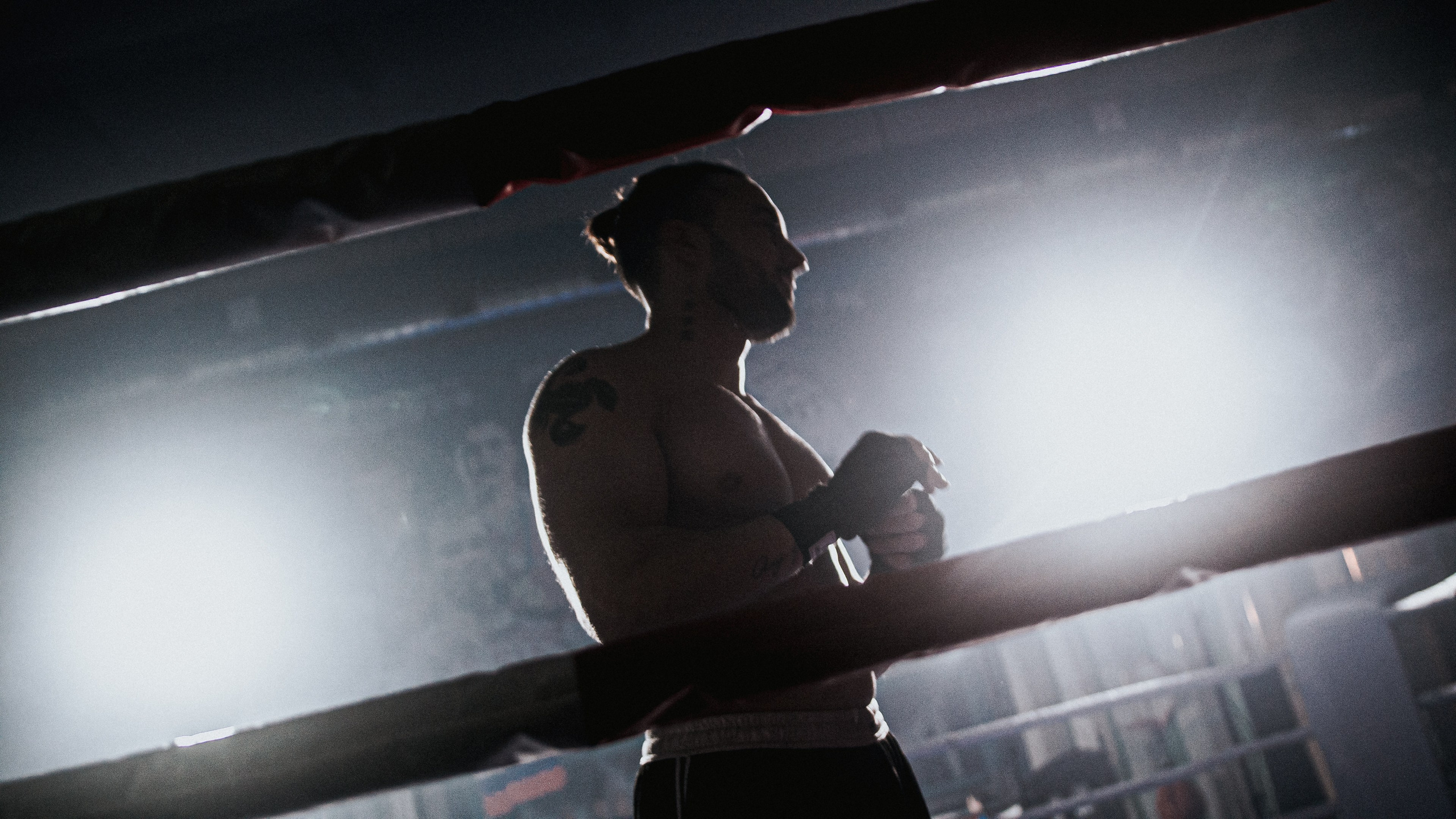 MF PROD. — BOX STAS. MOVIE FAMILY PRODUCTION