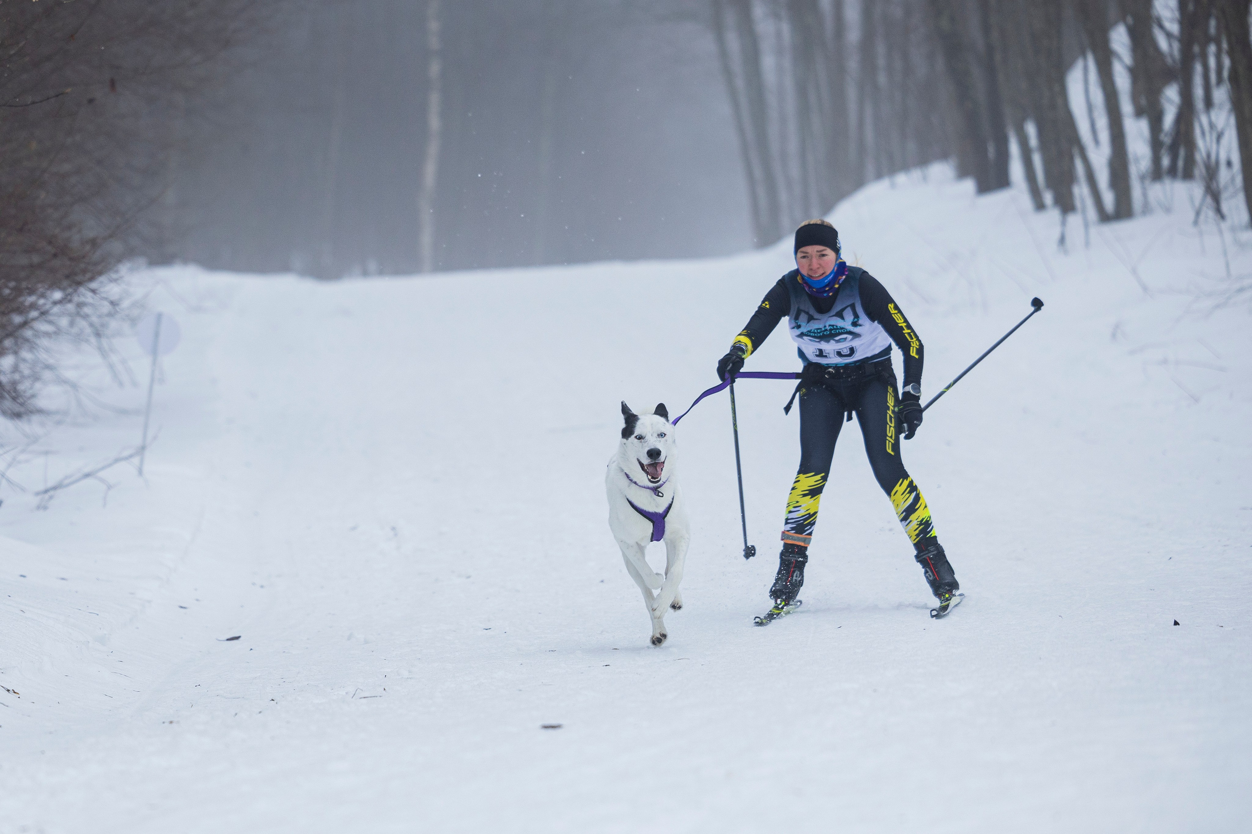 Зимний Чемпионат Санкт-Петербурга по ездовому спорту. Фотограф-анималист Анна Маринич