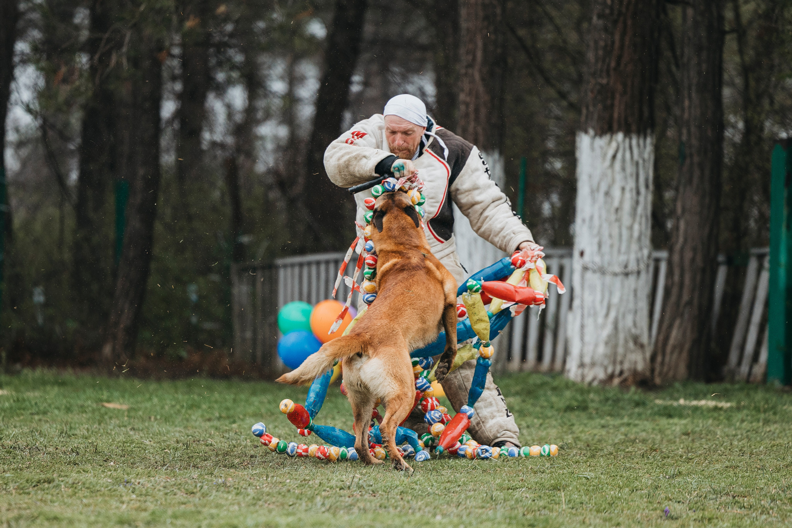 Геленджик Мондьоринг. Фотограф-анималист Анна Маринич