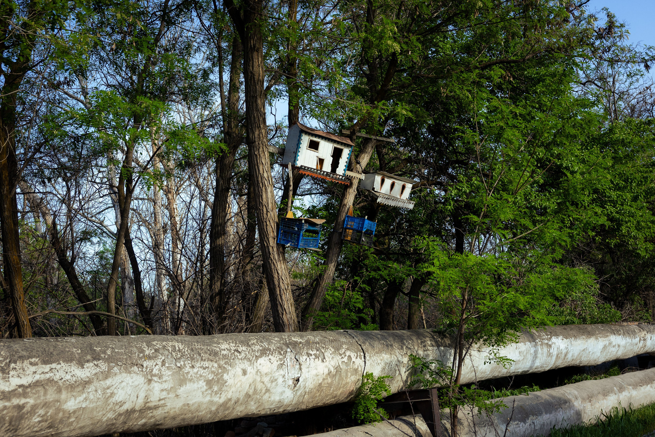 Кыргызстан (весна 2025). Фотограф Виноградов Константин