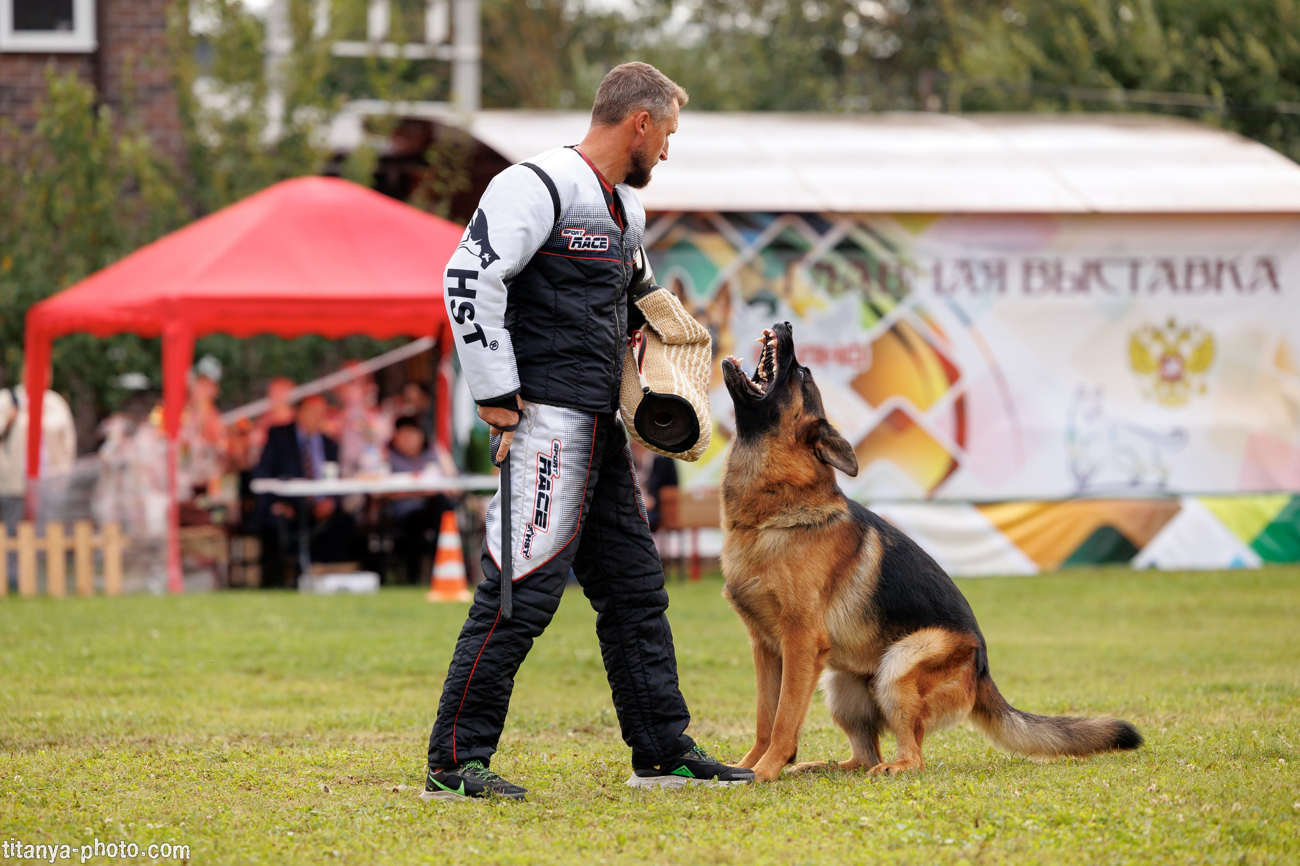 Фотографии с монопородных выставок немецких овчарок. Фотограф собак, фотограф-анималист Аня Титова (Titanya). Москва
