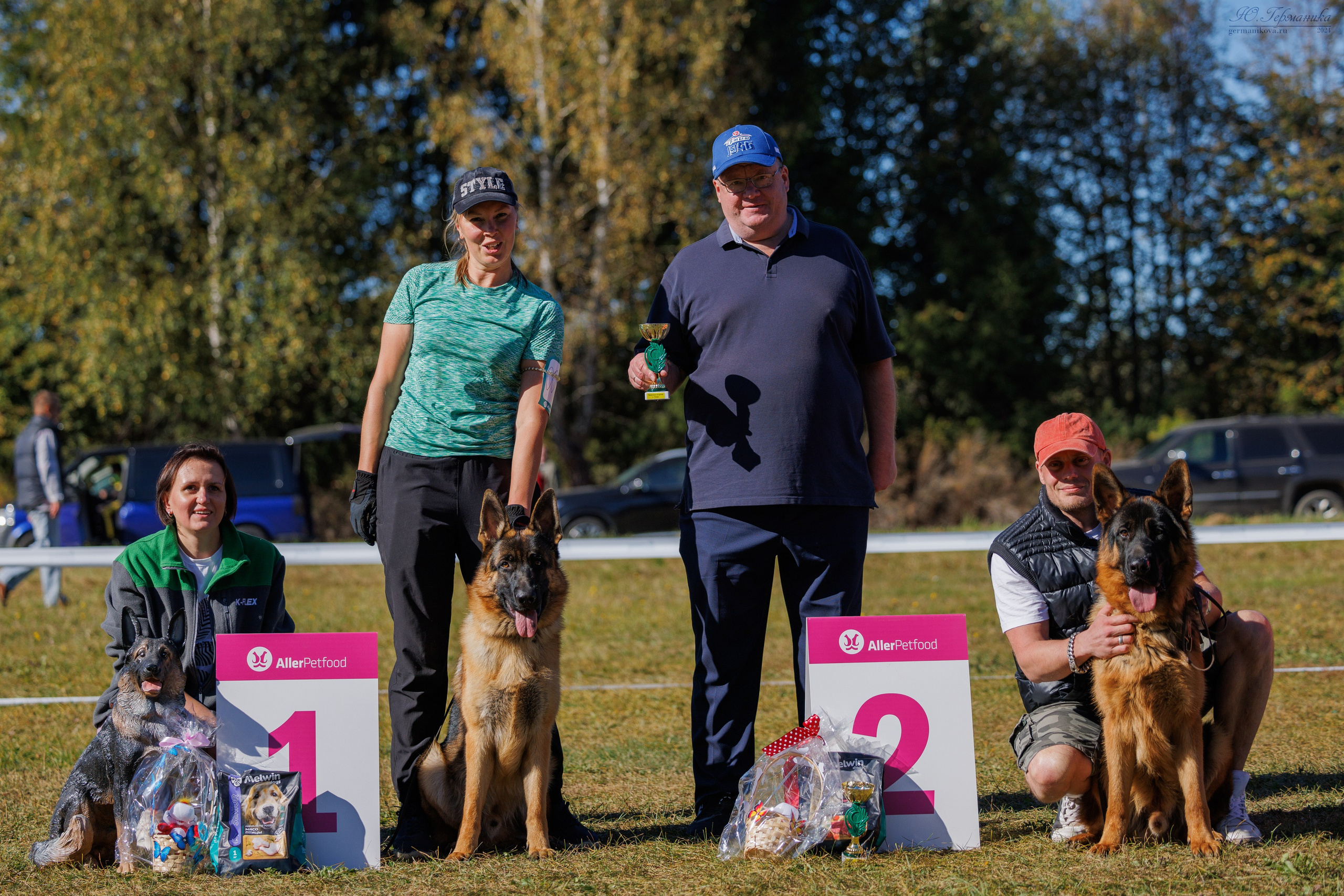 Тверь немецкие овчарки 22.09.2024. Фотограф-анималист Юлия Германика
