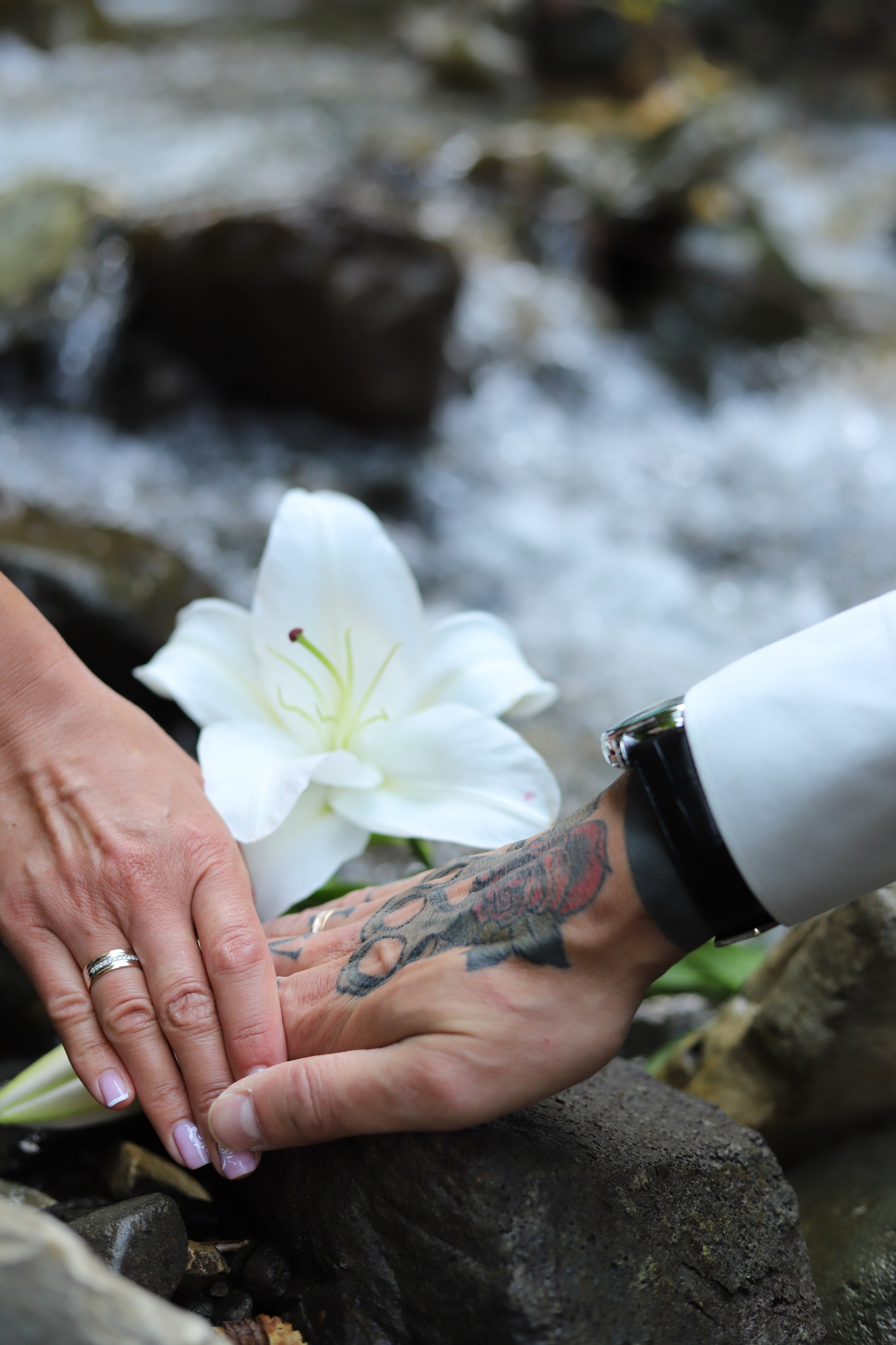 Свадьба Красная поляна /Водопад 11.06. Главная