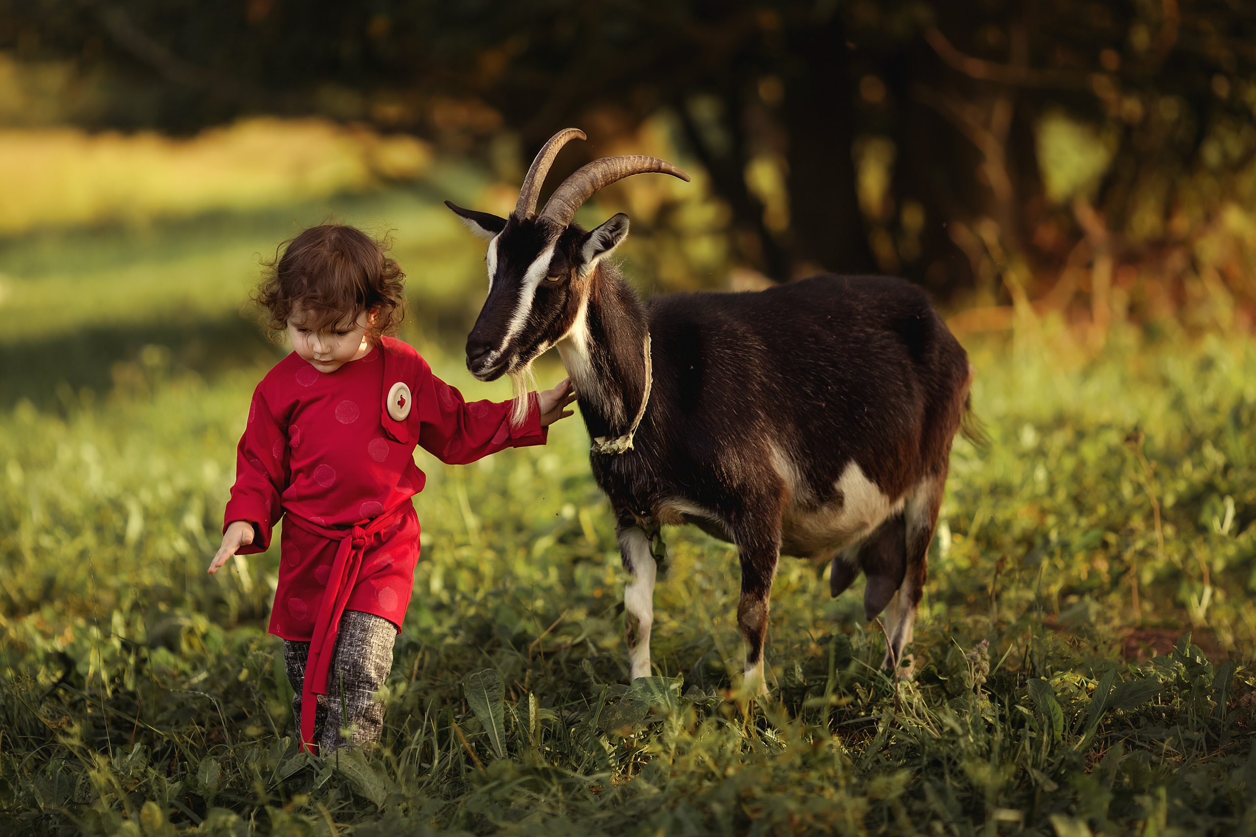 ДОМОВЕНОК. Женский и семейный фотограф в Санкт-Петербурге Лидия Лиженина