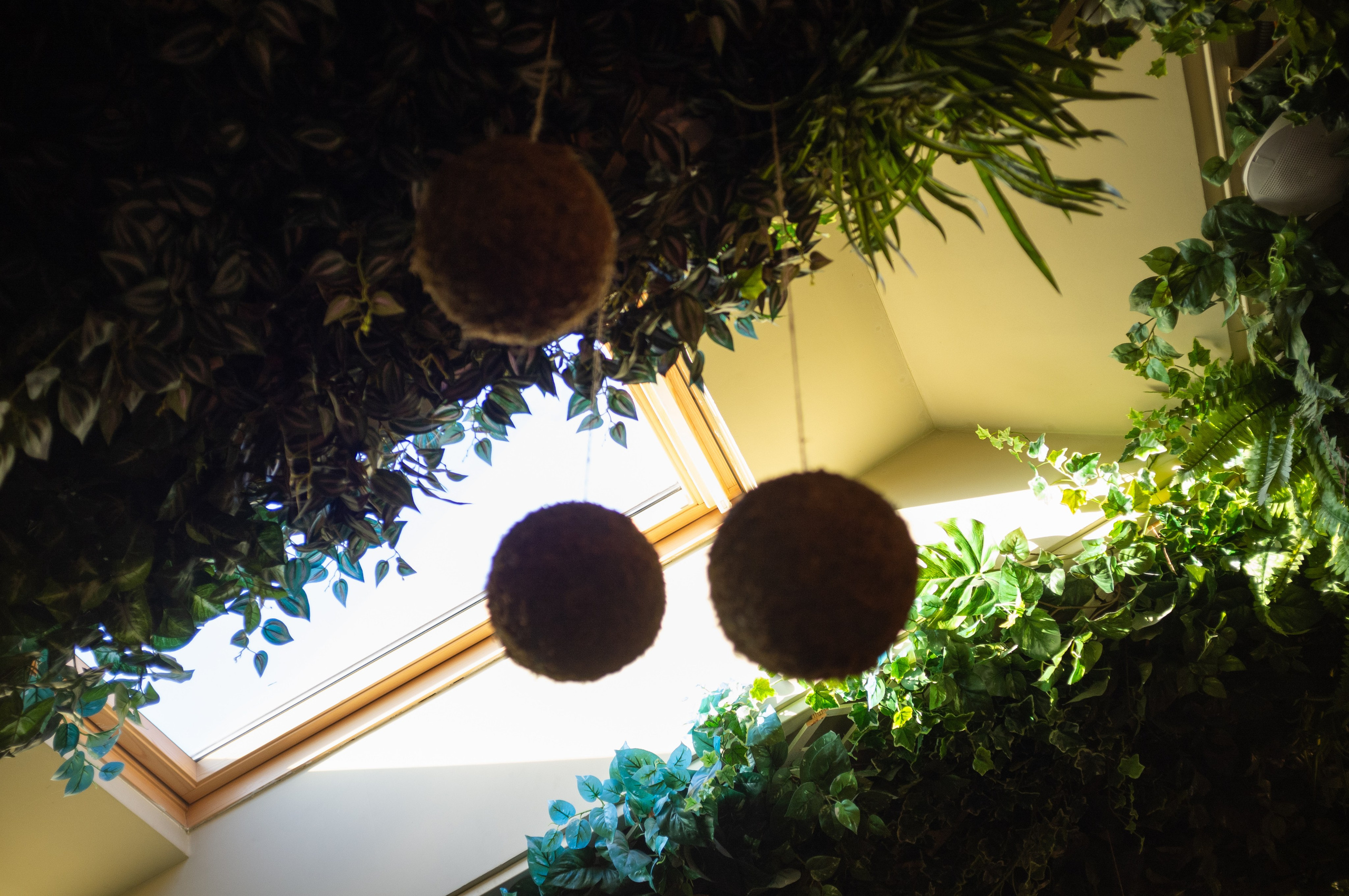 Джаз-клуб Kozlov club. Мансарда. Искусство фотографии. Мария Осокина