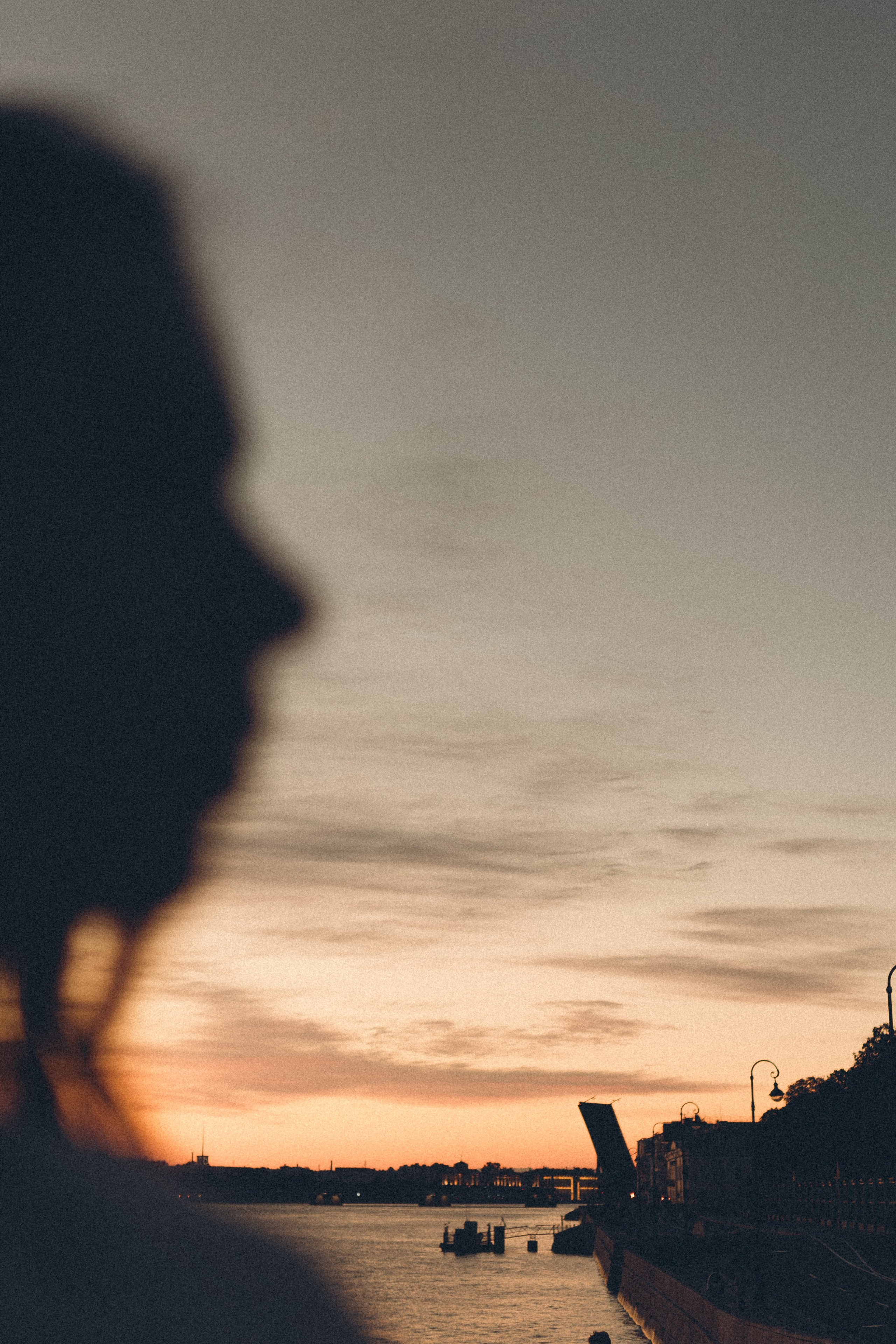 РАССВЕТ С РАЗВОДНЫМИ МОСТАМИ. Профессиональный фотограф, Санкт-Петербург — Виктория Богомолова