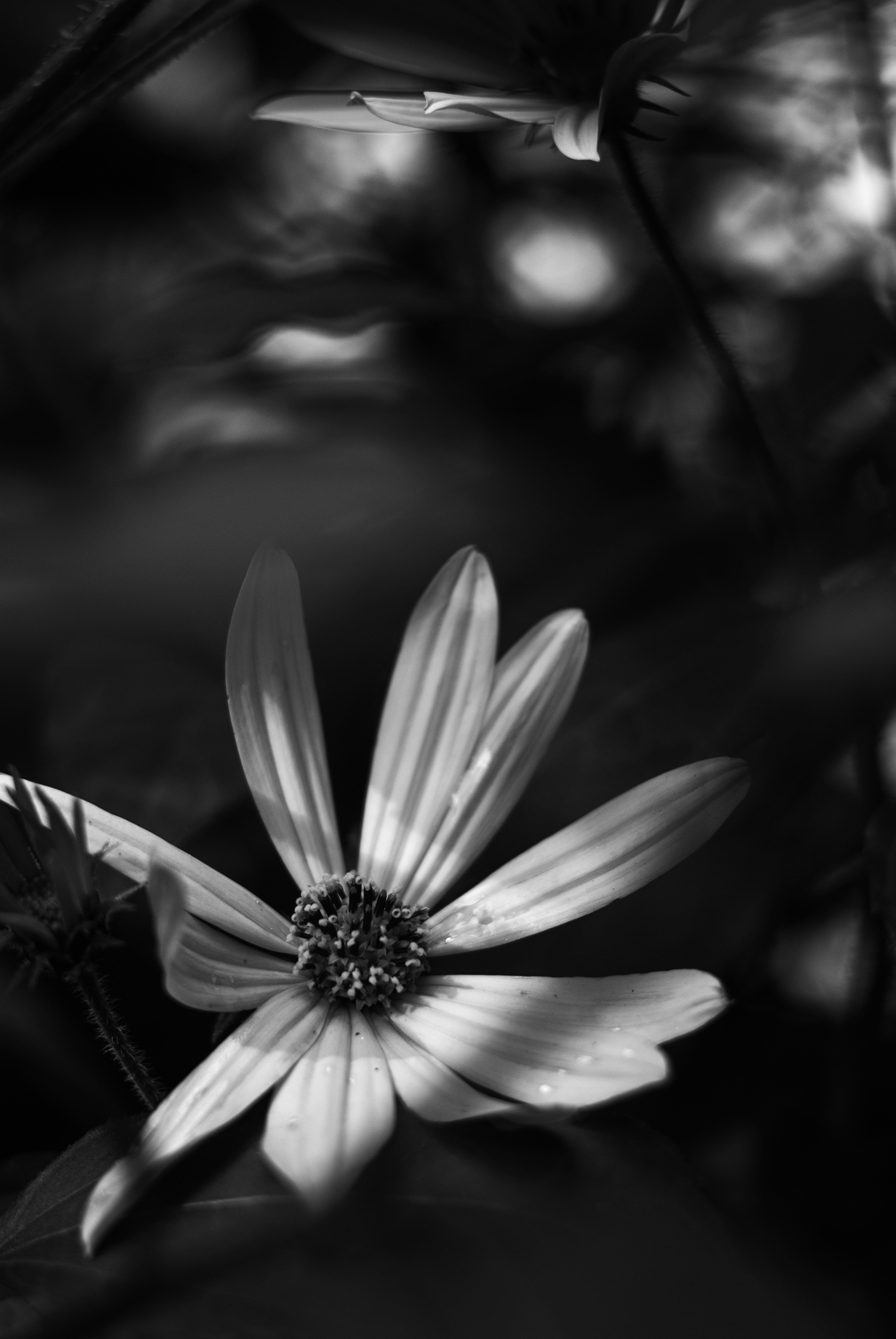 Внутривенные сны (2018-2023)