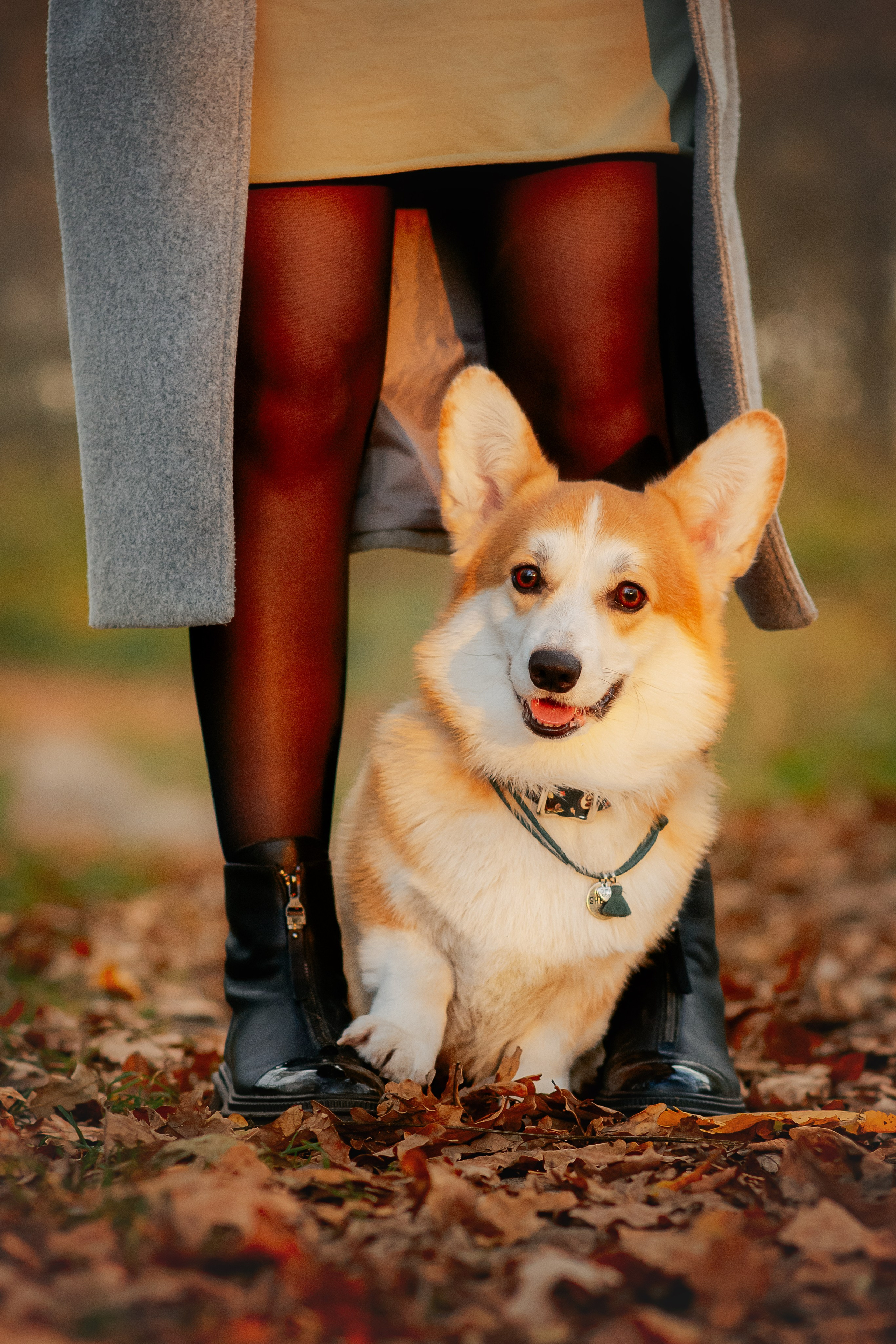 Максим, Надя, Рой и Шелби — 13.10.2024. Фотограф — Анималист | Анна Абрамова