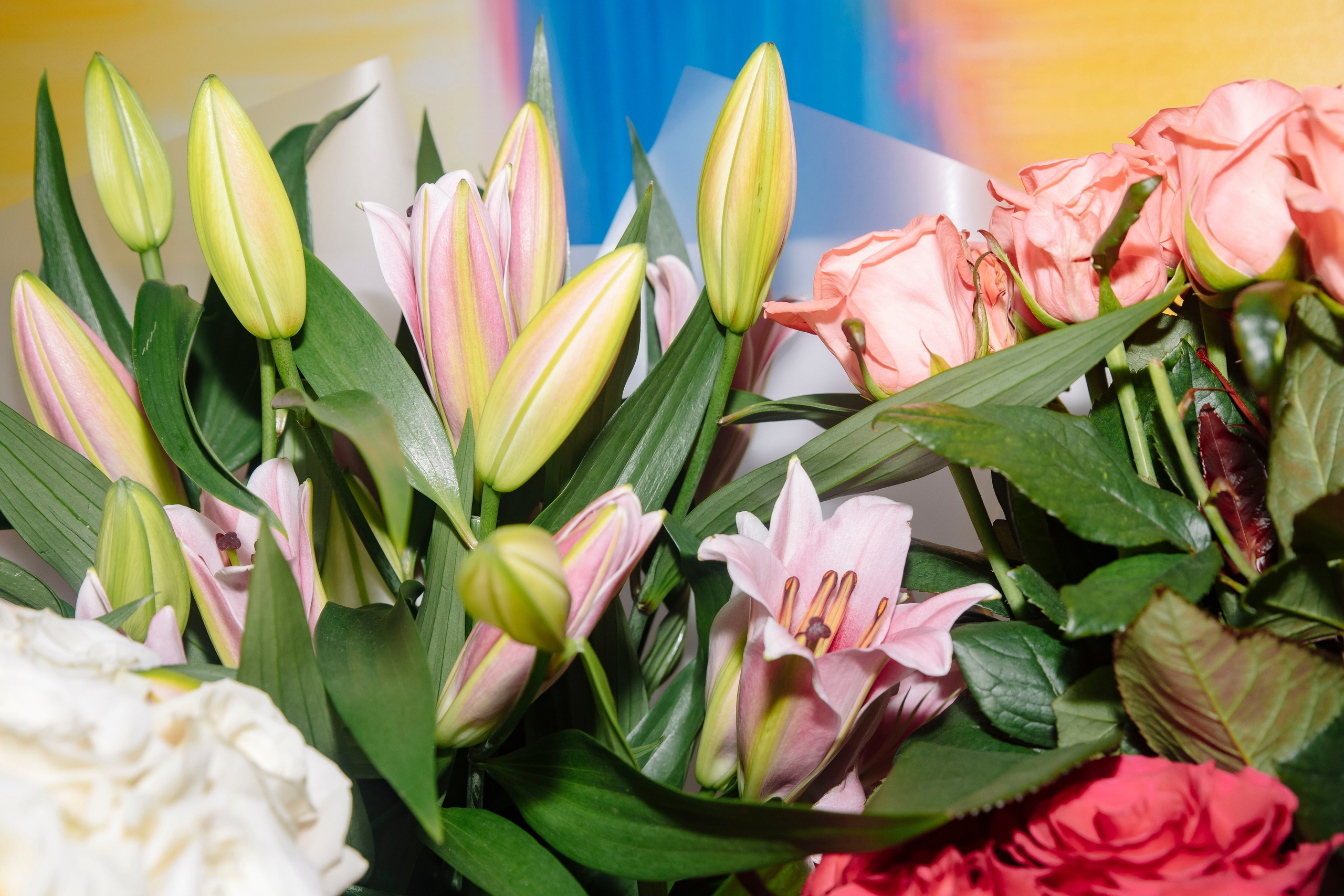 Lilit's Birthday Party ❣. Фотограф в Москве Яна Полосина