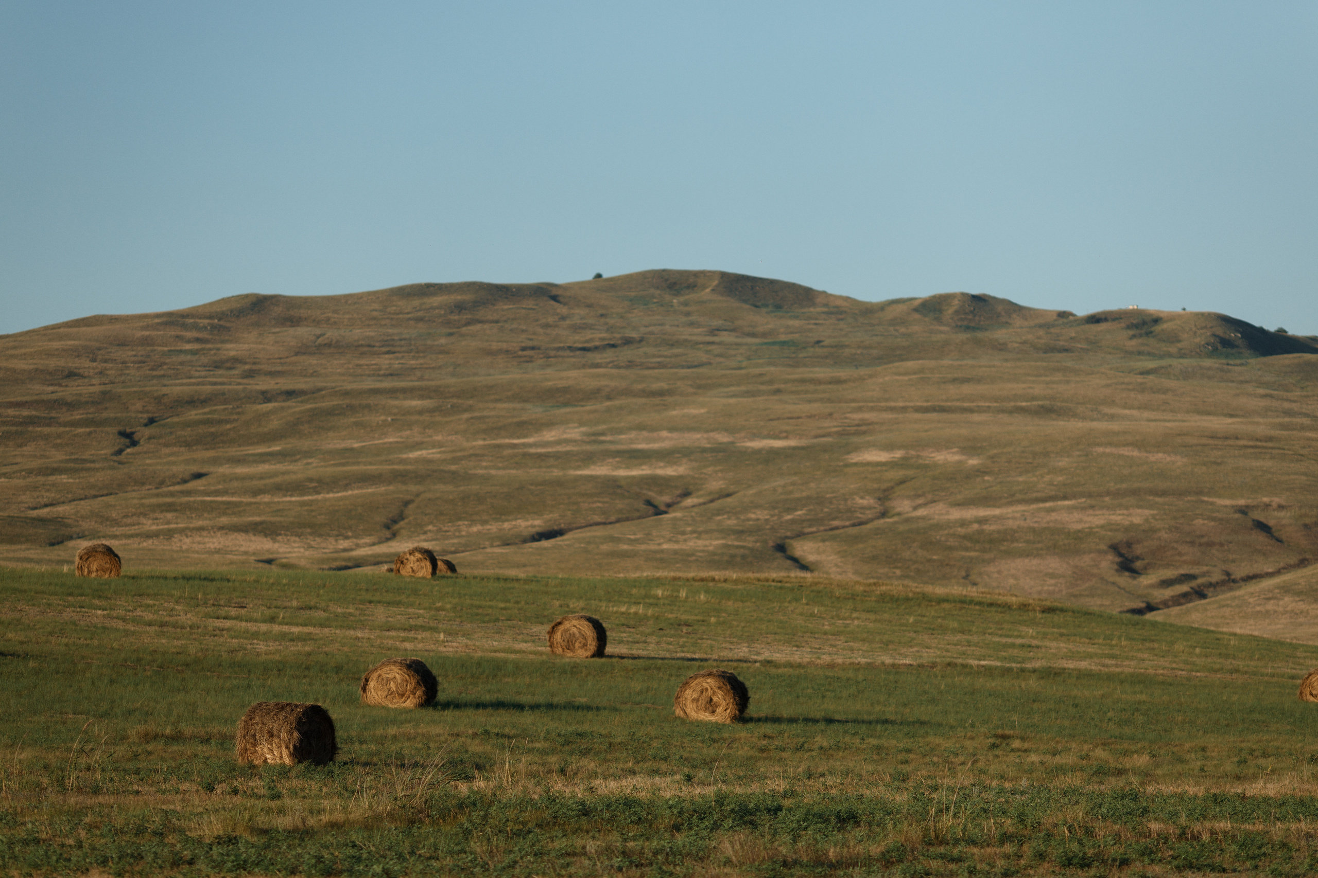 Анастасия и Иван фотосессия в ожидании. Свадебный и семейный фотограф в Ставрополе Попова Дарья