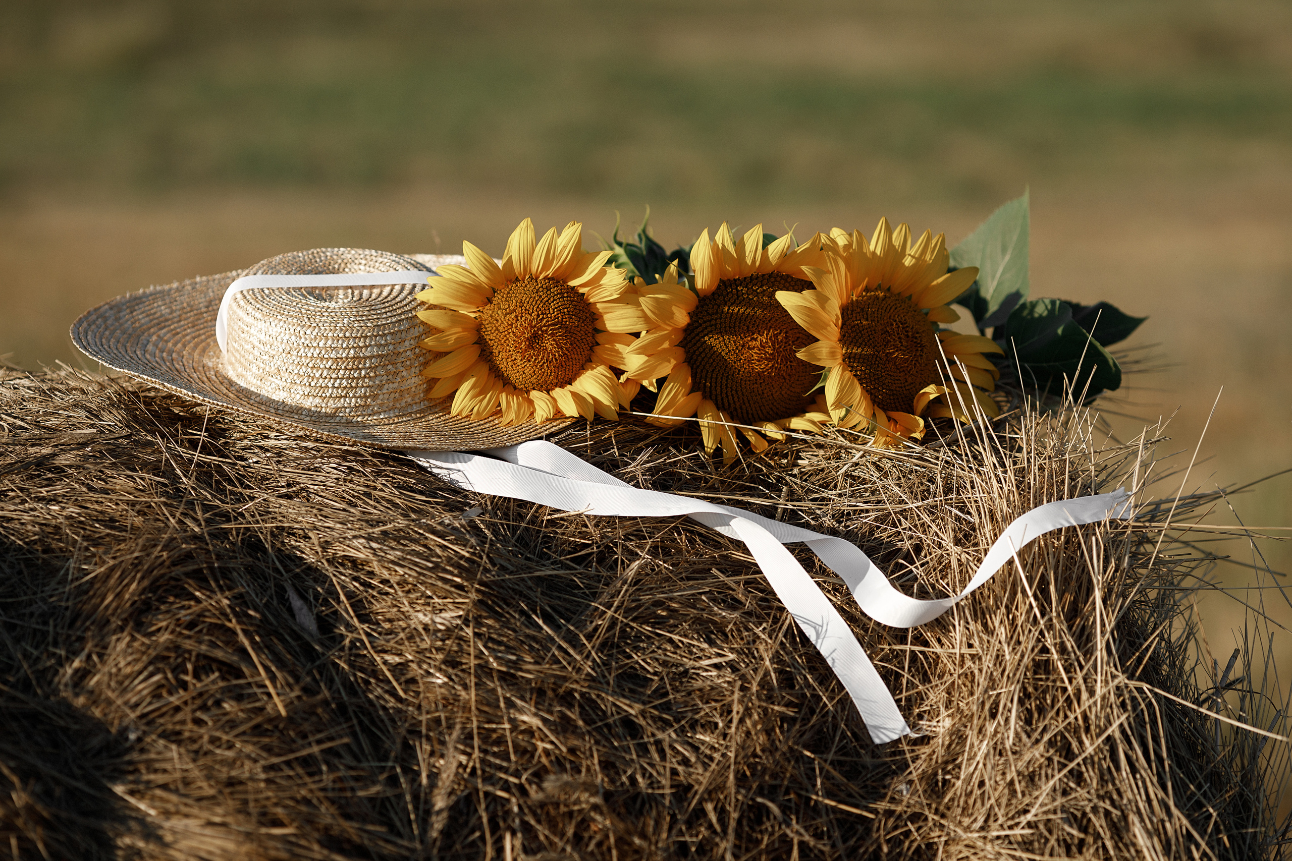 Анастасия и Иван фотосессия в ожидании. Свадебный и семейный фотограф в Ставрополе Попова Дарья