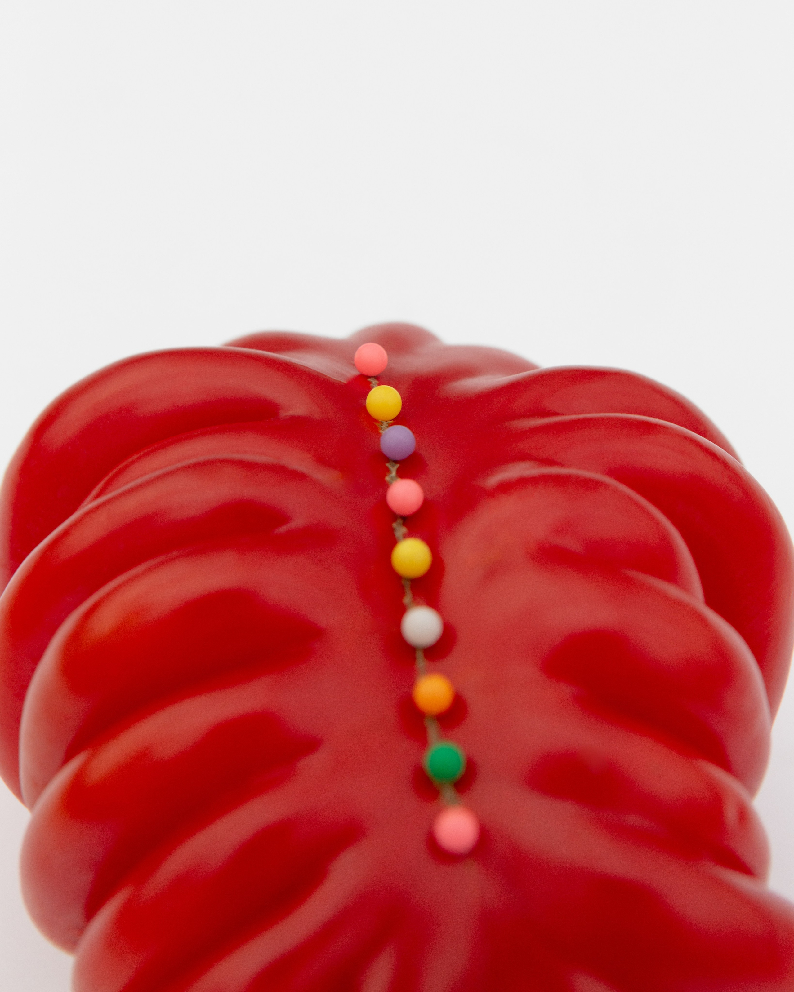 Условная ботаника. Фотографии Саши Любина