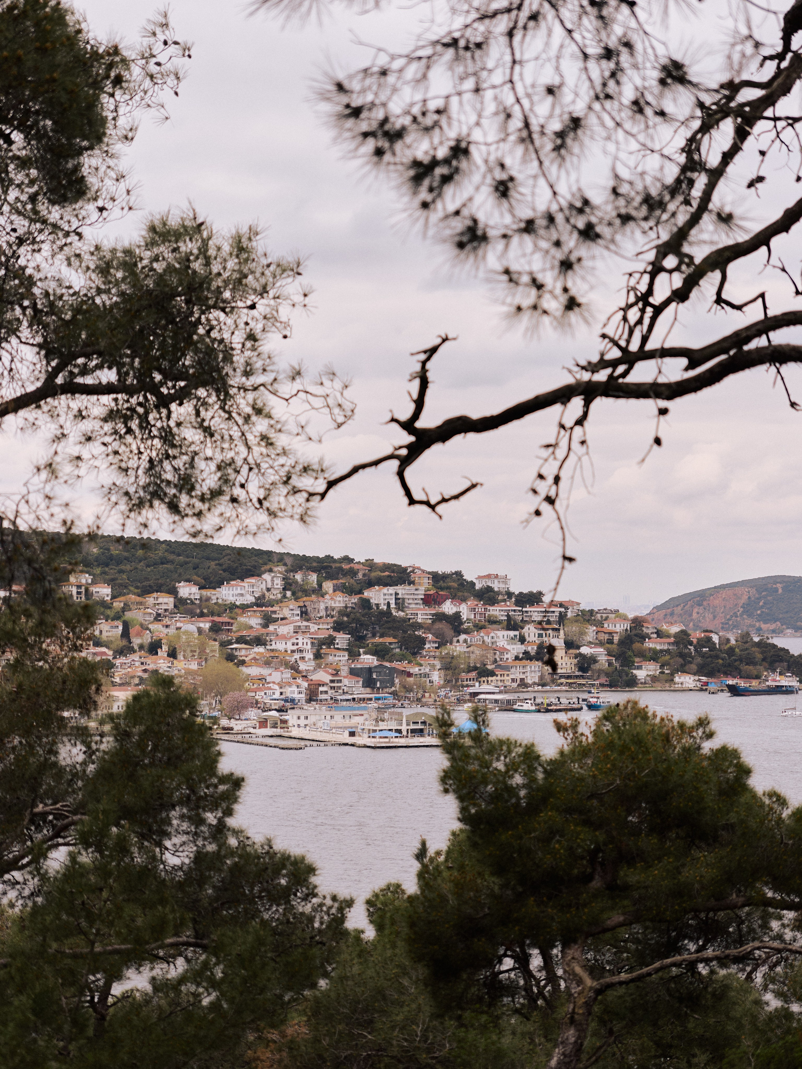 Природа сквозь. Jorgis Talè — photographer, kind person, teacher of arts and other mag