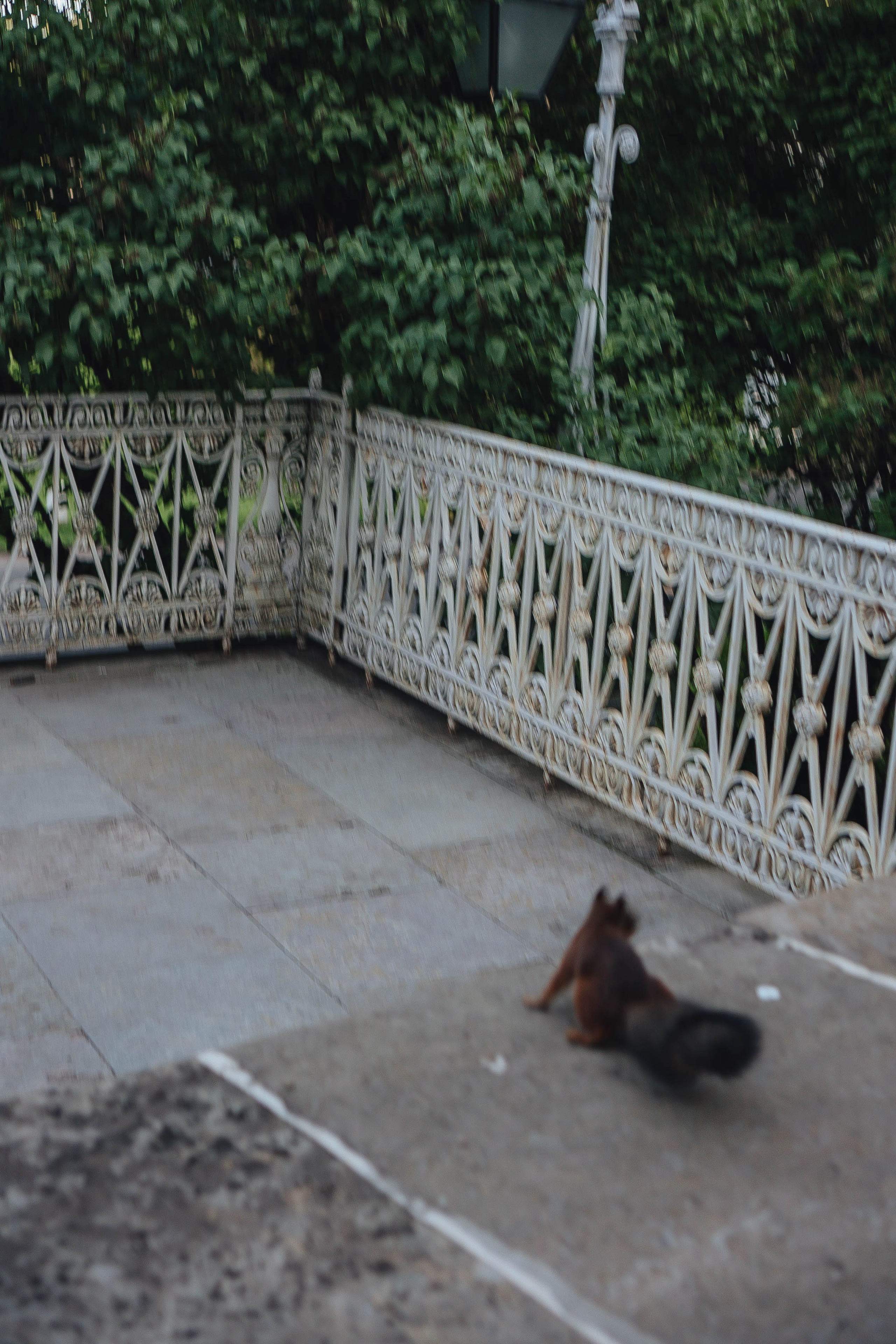 СВАДЕБНАЯ СЬЕМКА НА РАССВЕТЕ НА ЕЛАГИНОМ ОСТОРОВЕ. Профессиональный фотограф, Санкт-Петербург — Виктория Богомолова